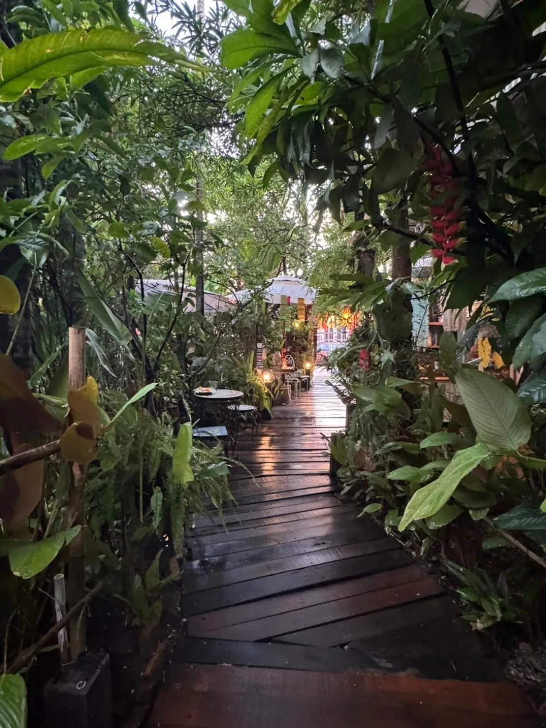 Natural landscape in The Twenty Lodge