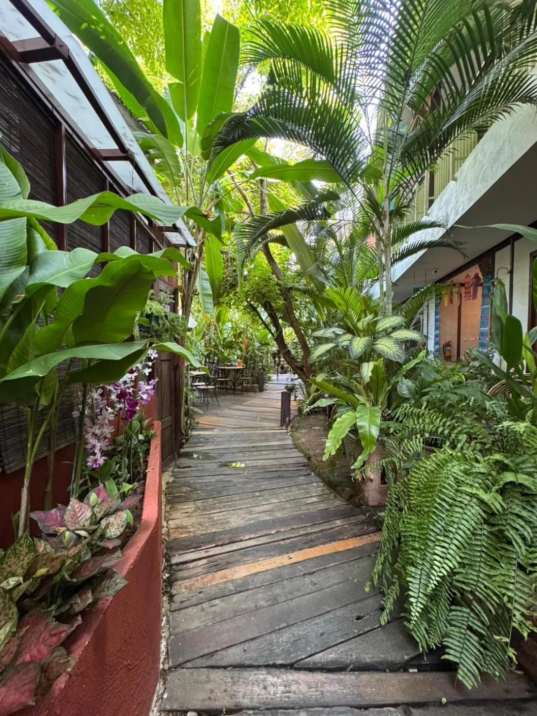 Garden in The Twenty Lodge