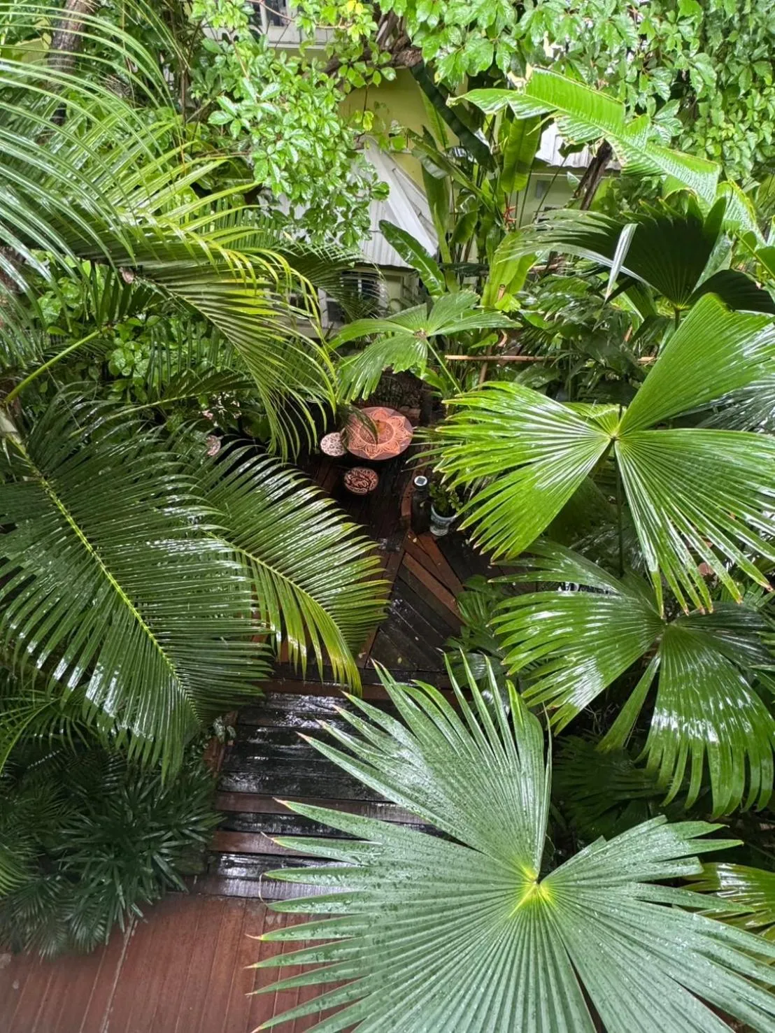 Garden in The Twenty Lodge