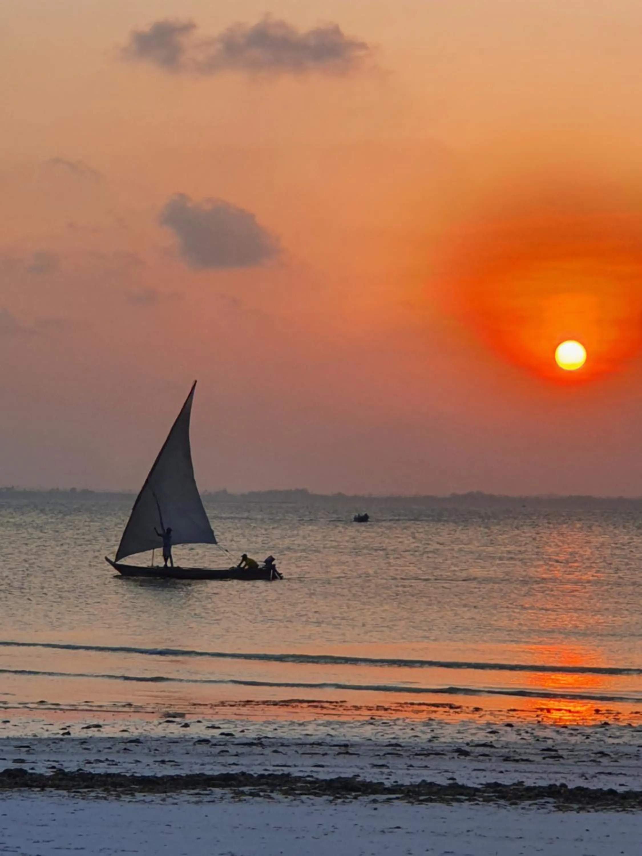 Natural landscape in Blue Palm Zanzibar