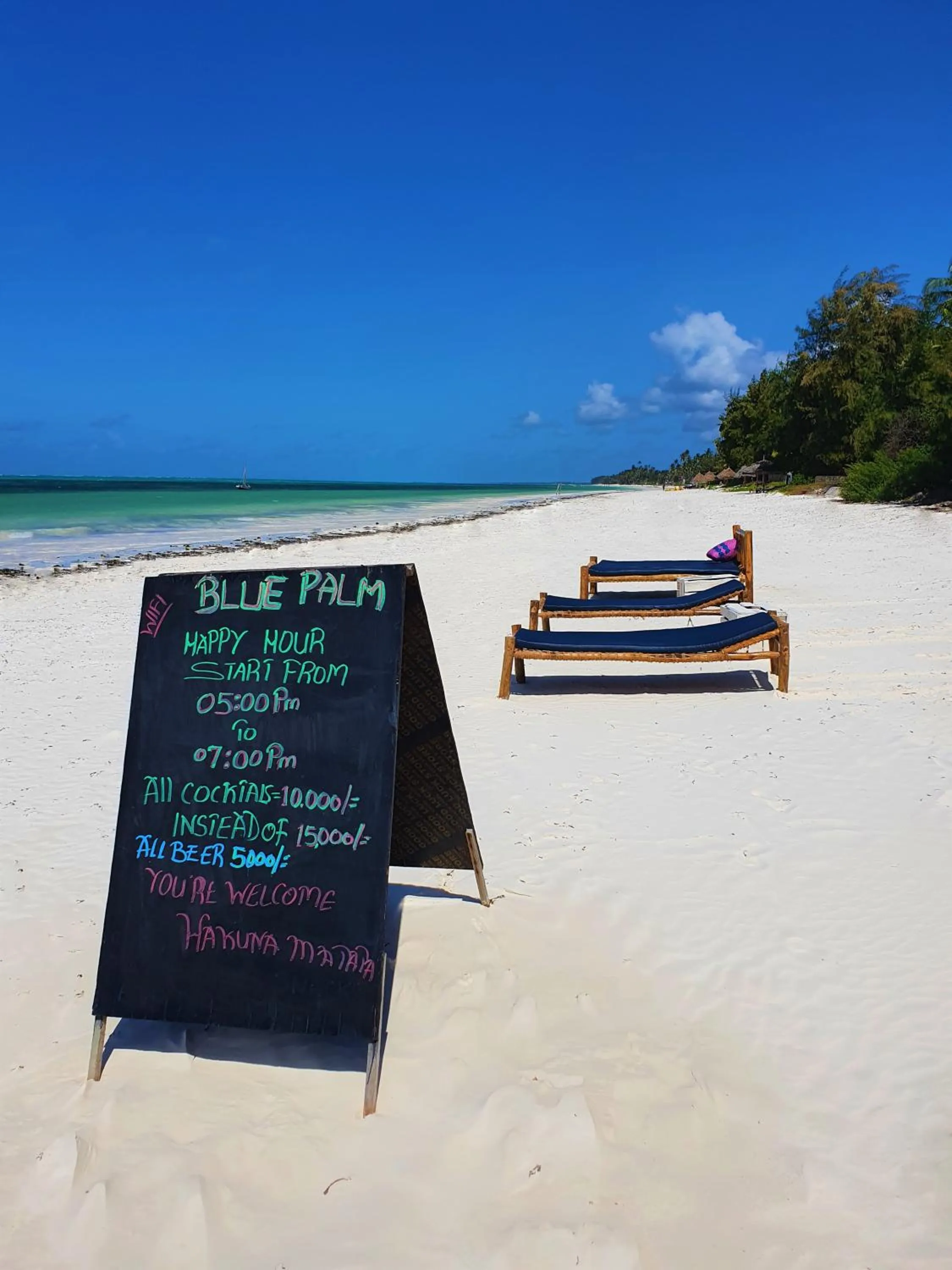 Beach in Blue Palm Zanzibar