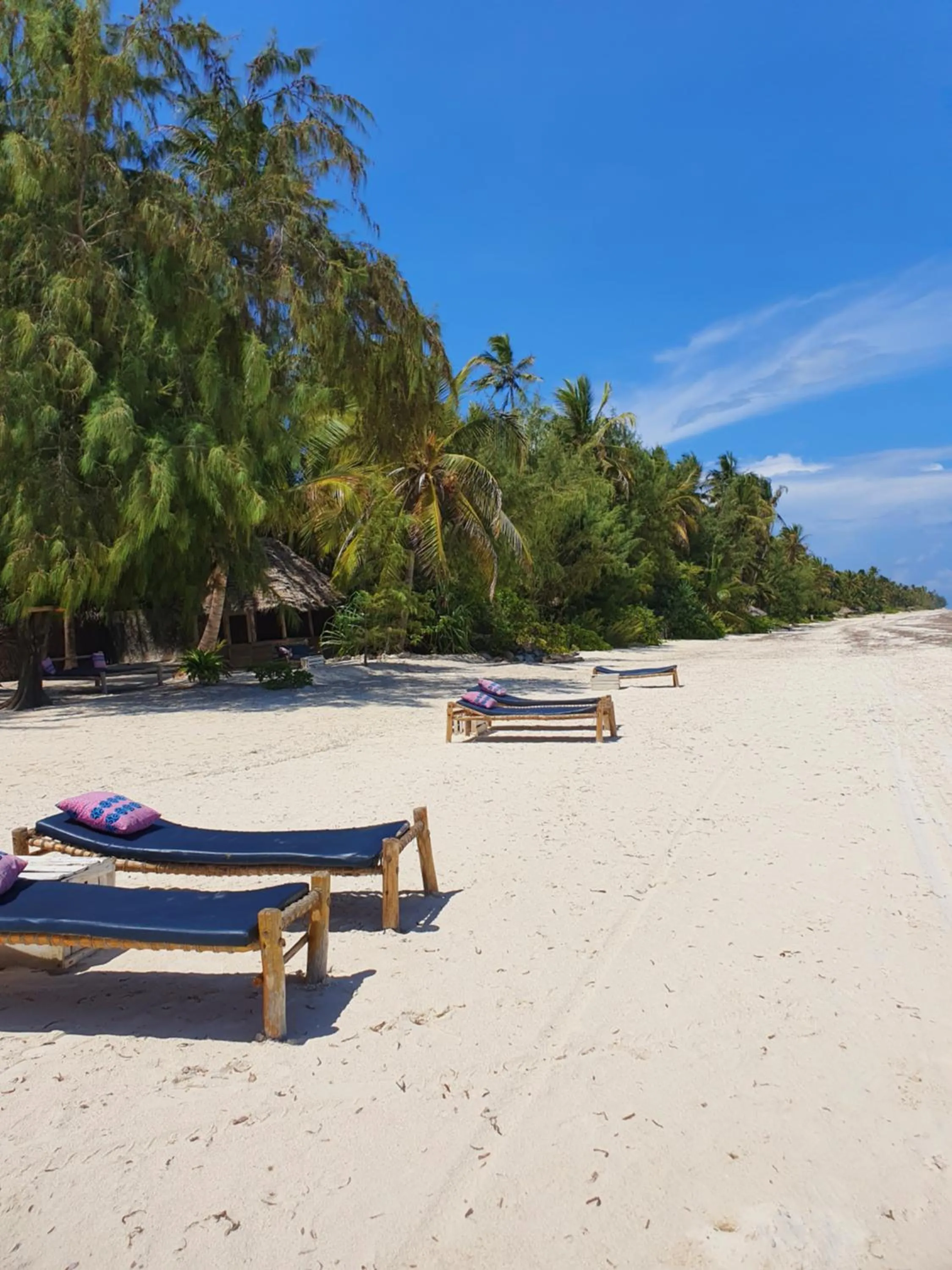 Beach in Blue Palm Zanzibar