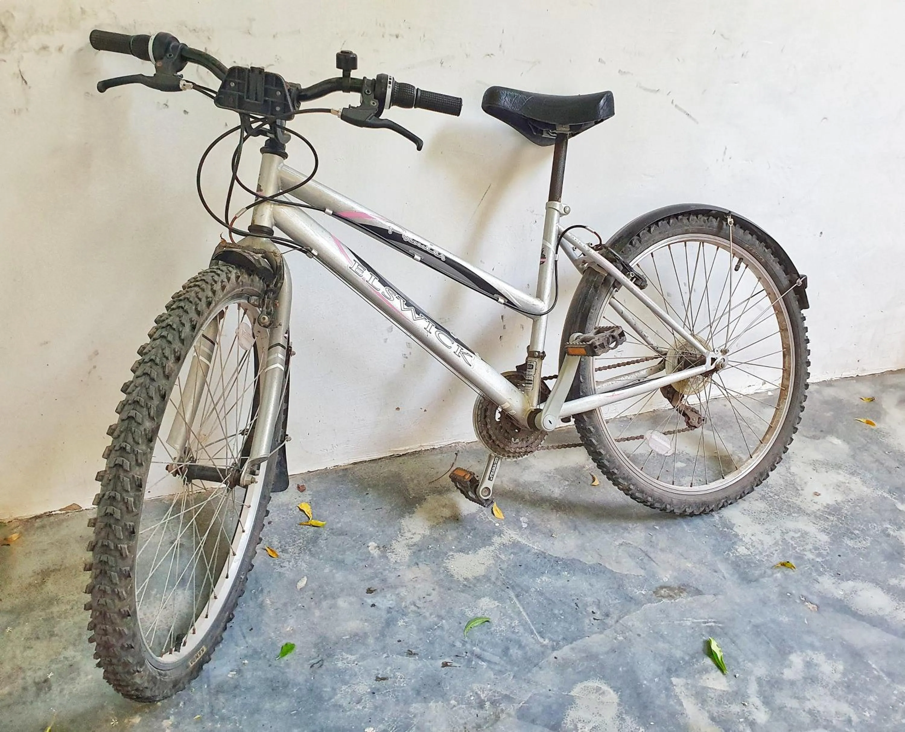 Activities in Blue Palm Zanzibar