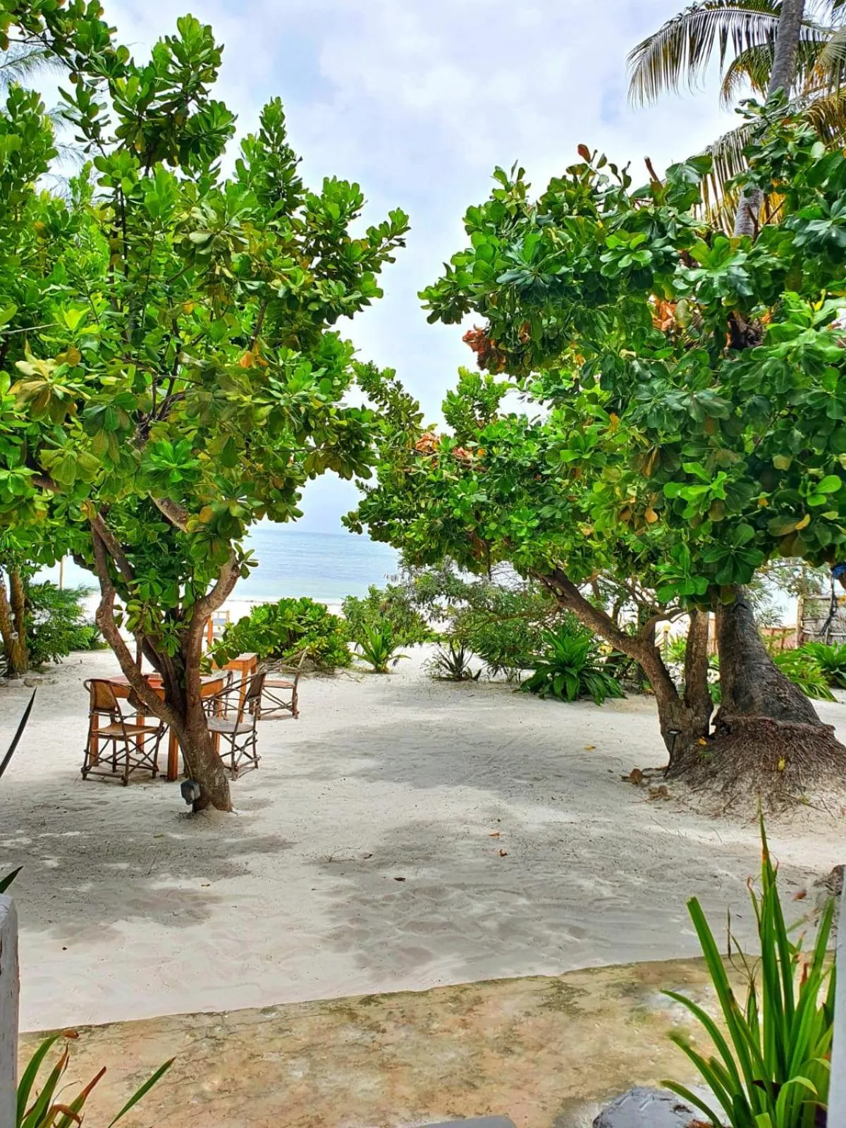 Balcony/Terrace in Blue Palm Zanzibar