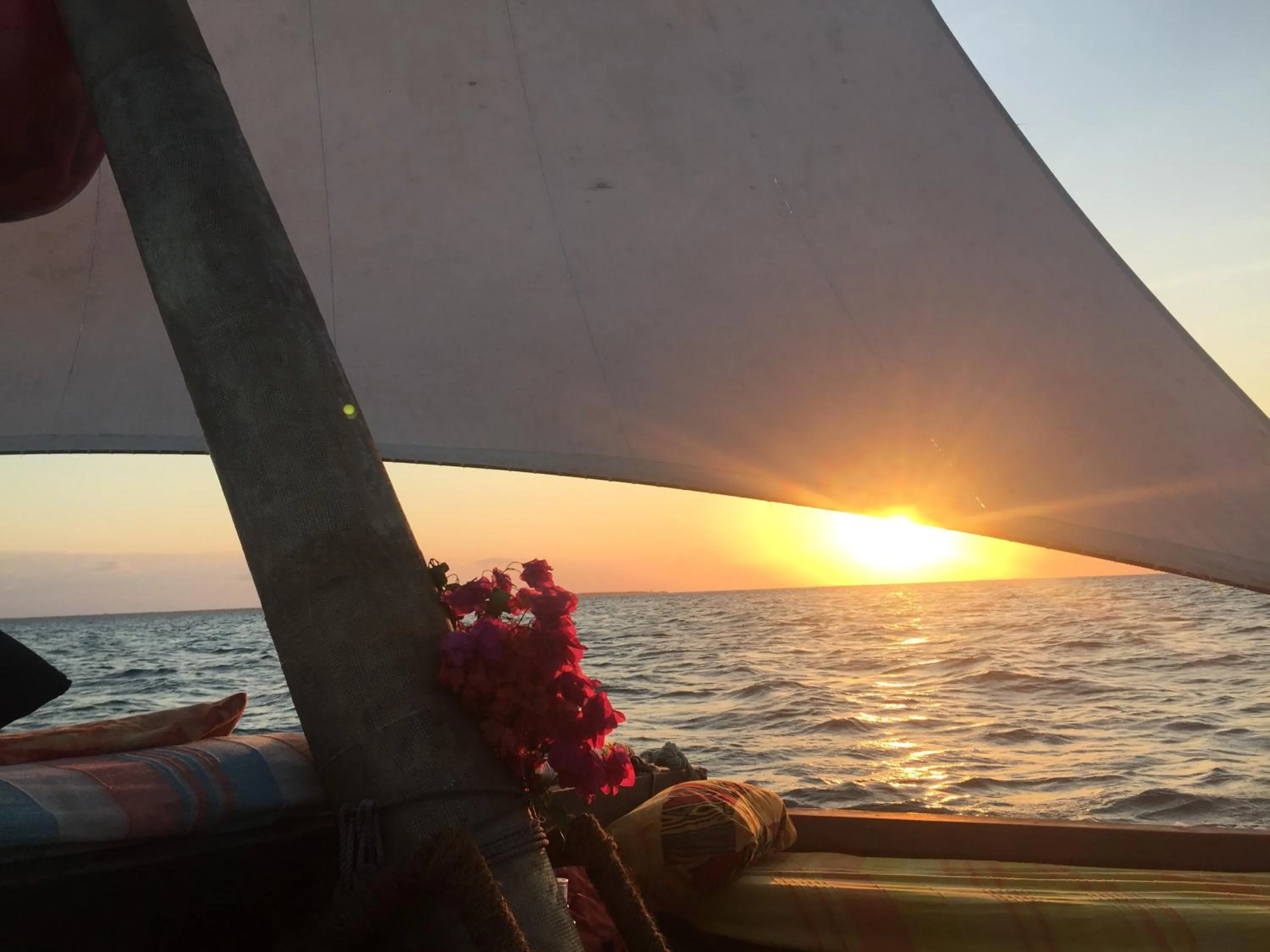 Activities in Blue Palm Zanzibar