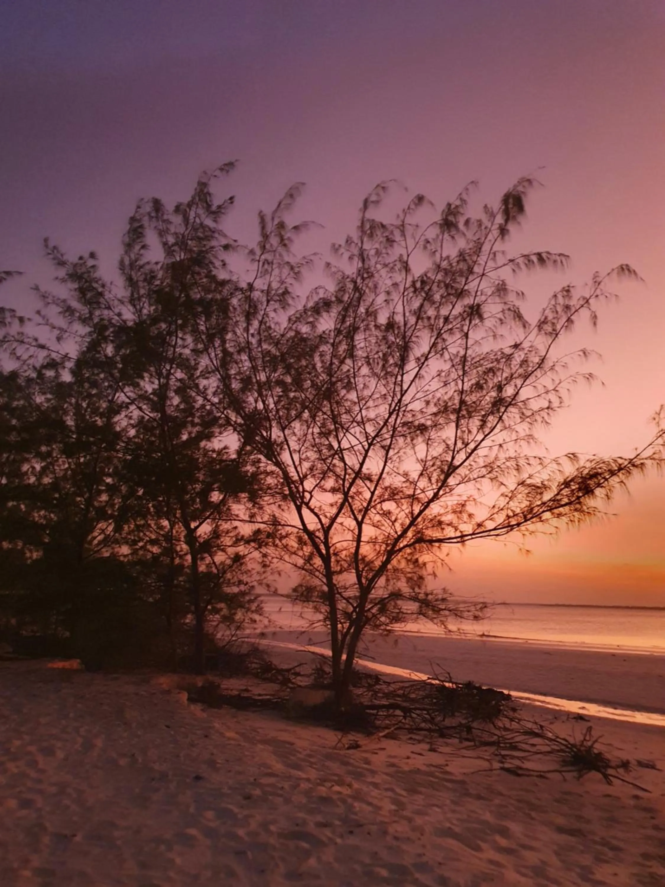 Natural landscape in Blue Palm Zanzibar