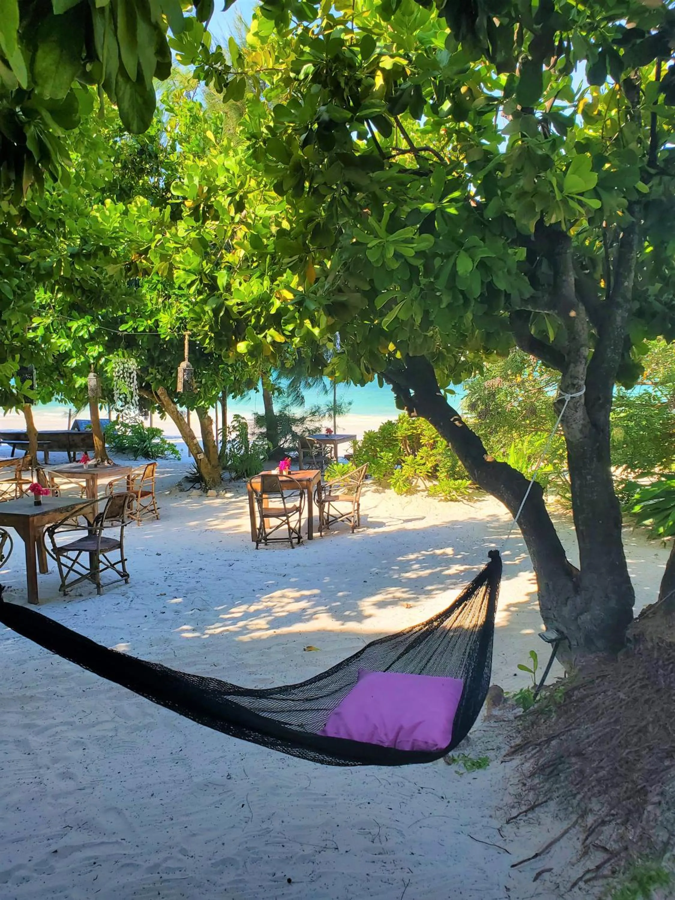 Garden view in Blue Palm Zanzibar