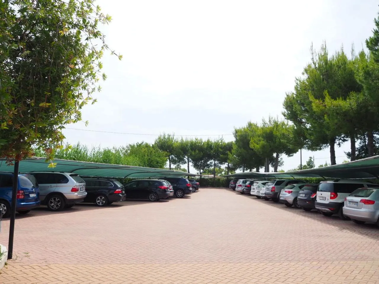 Area and facilities in Oasiclub Hotel