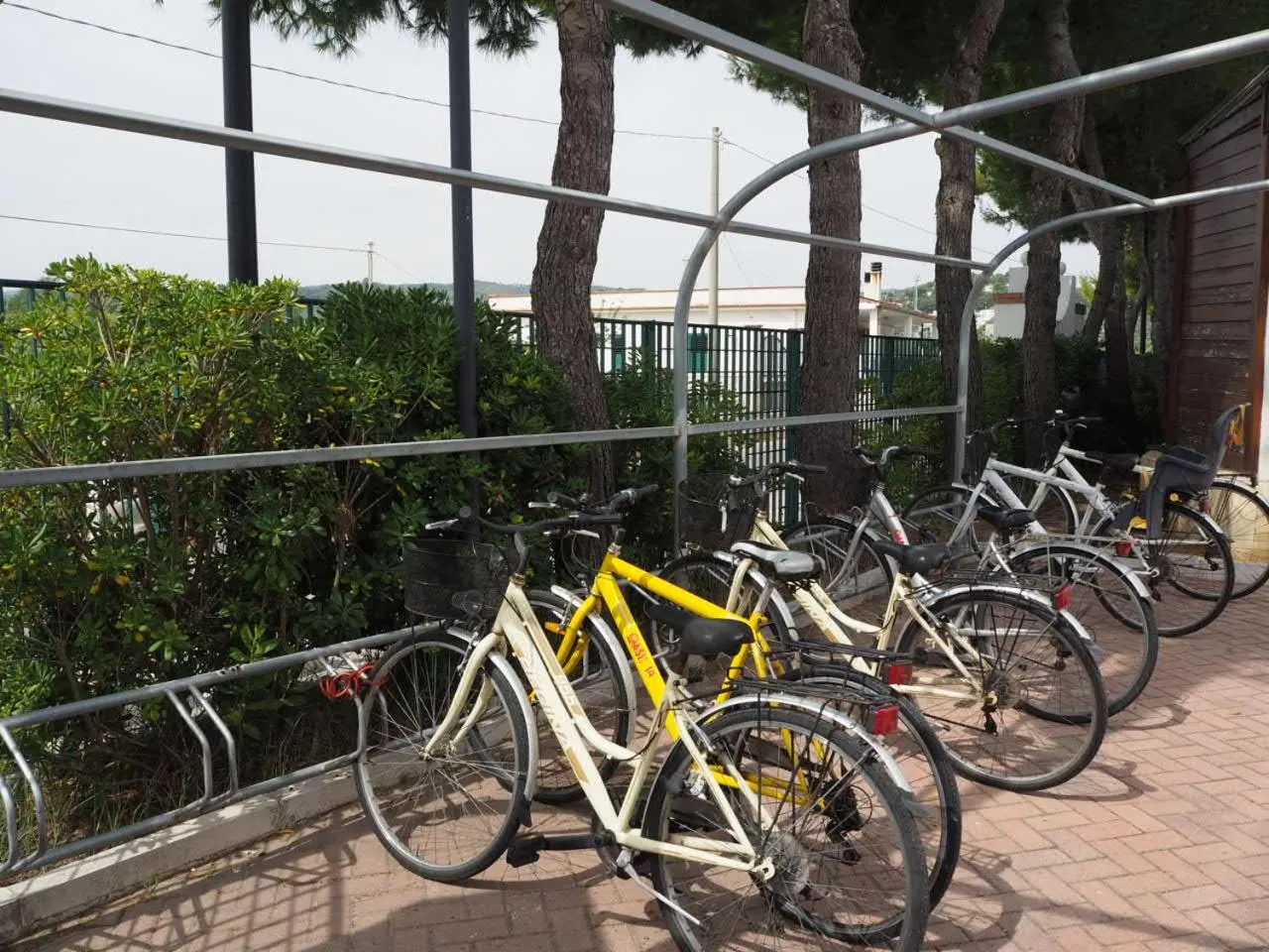 Sports in Oasiclub Hotel