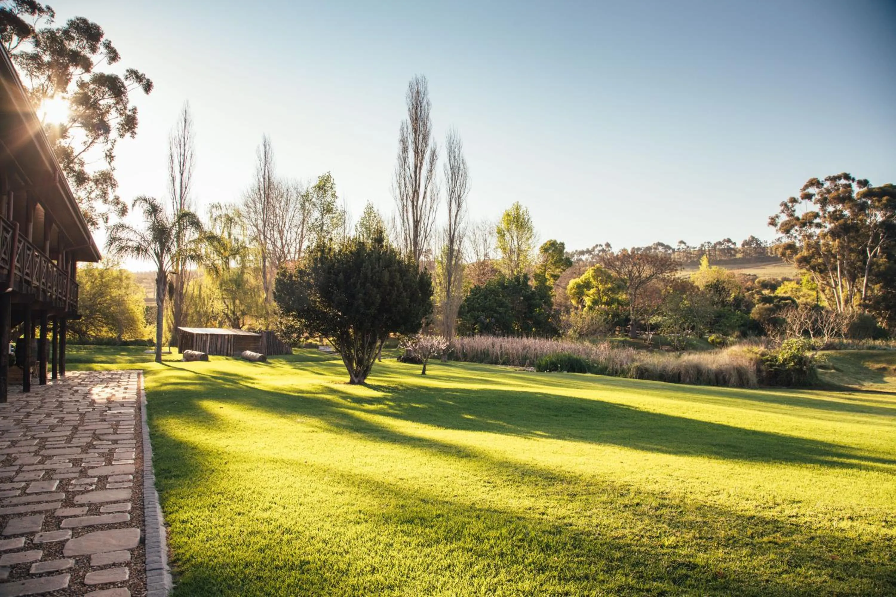 Garden in The Log Collective