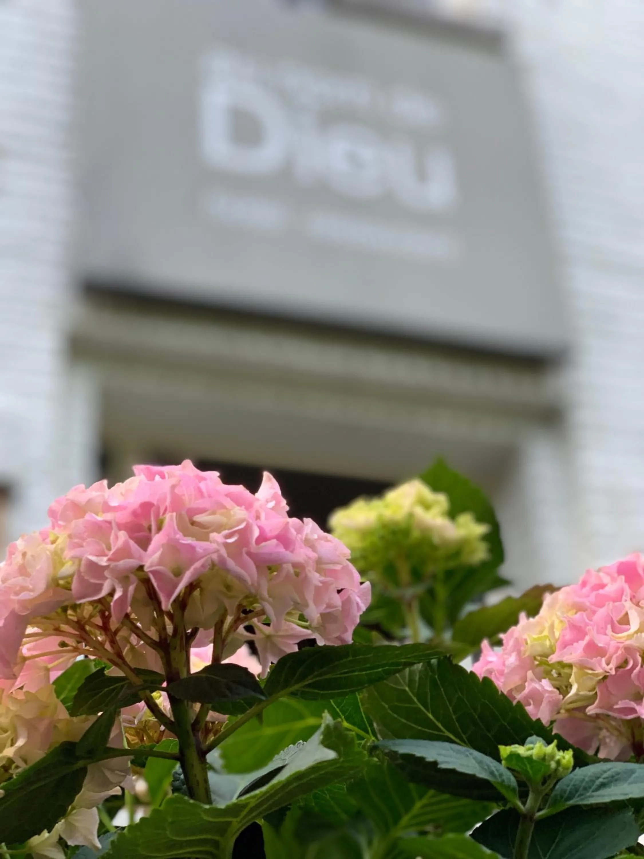 Spring in Hotel Au Nom De Dieu