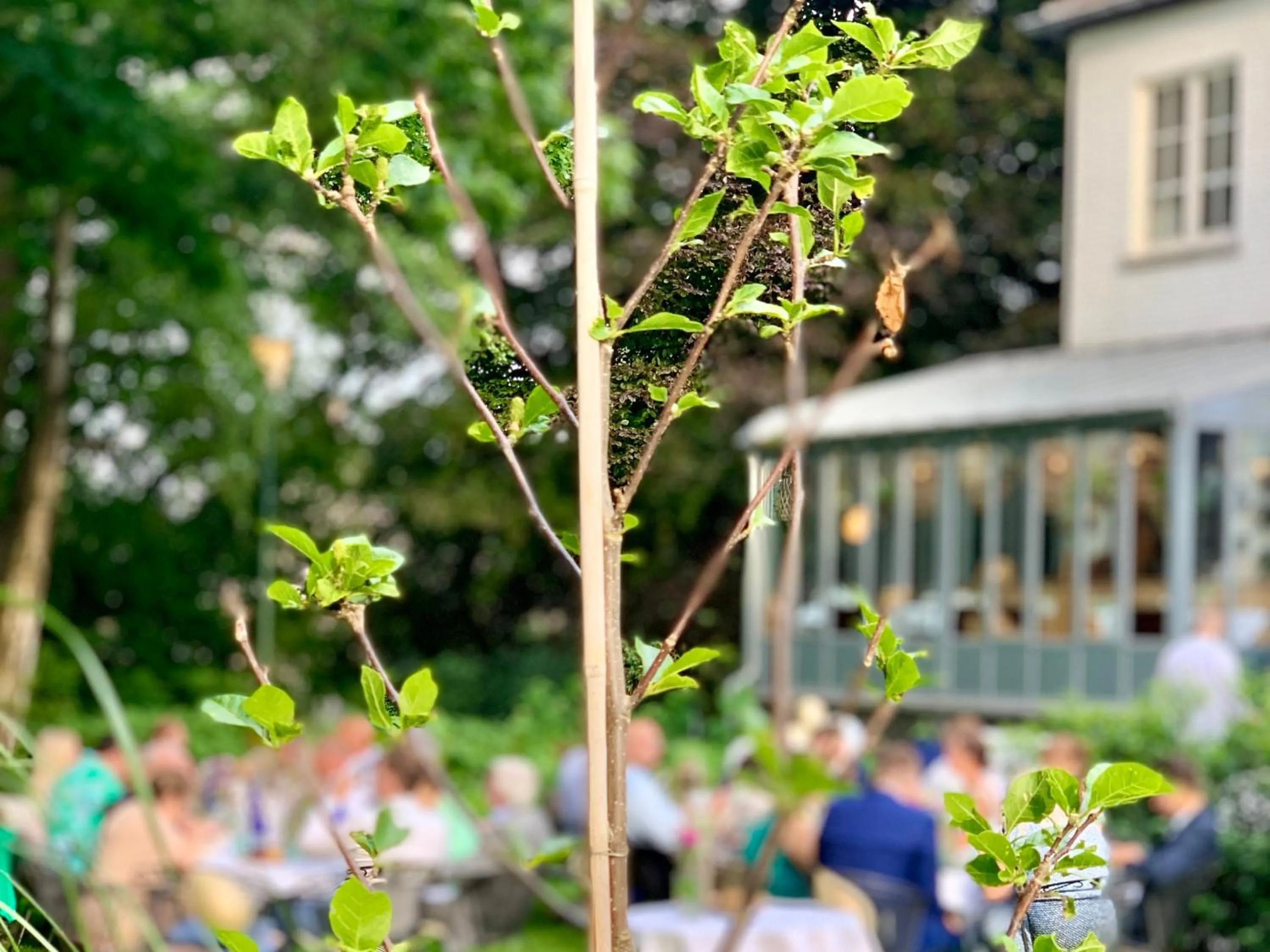 Restaurant/places to eat in Hotel Au Nom De Dieu