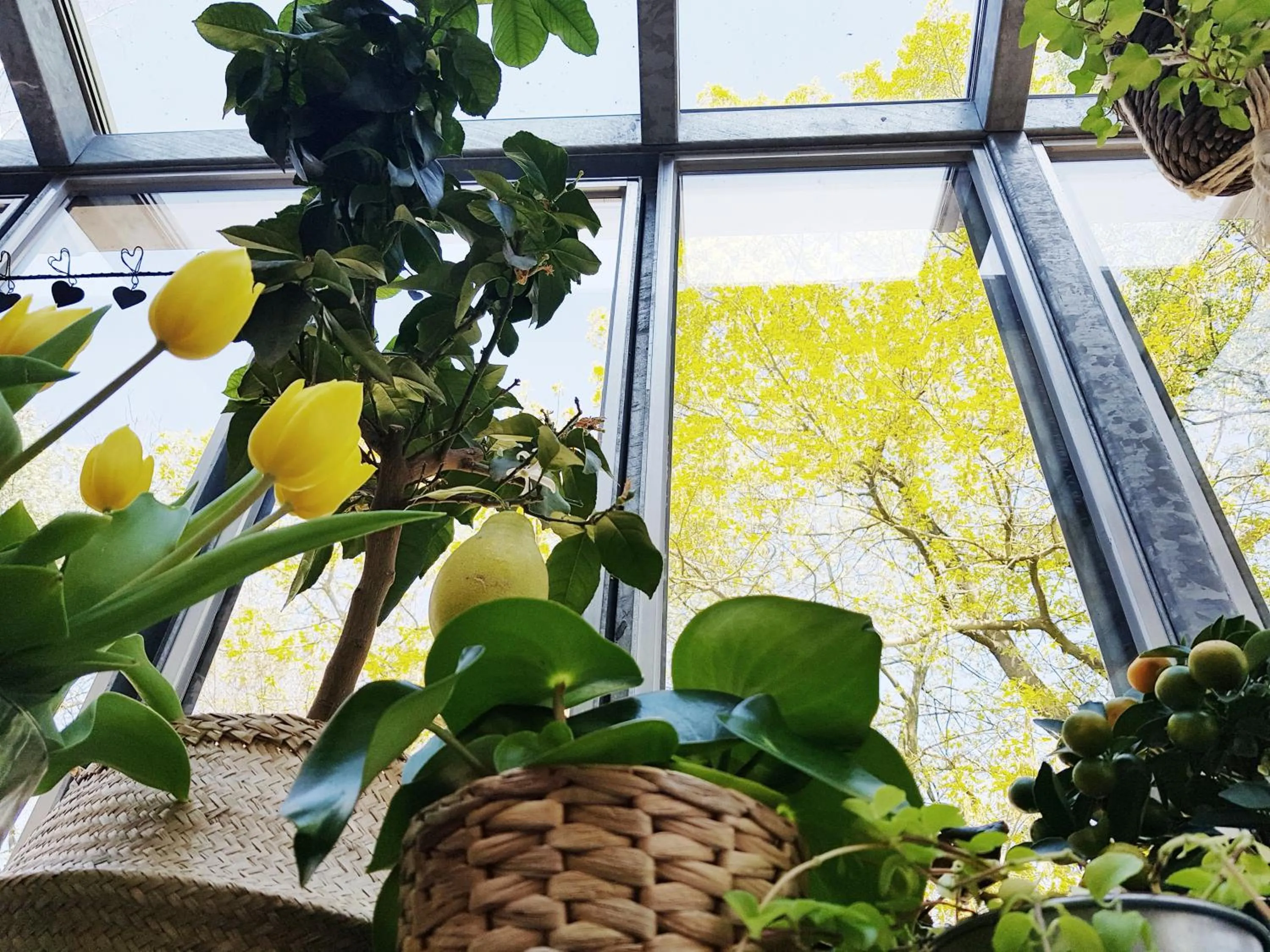 Decorative detail in Hotel Au Nom De Dieu