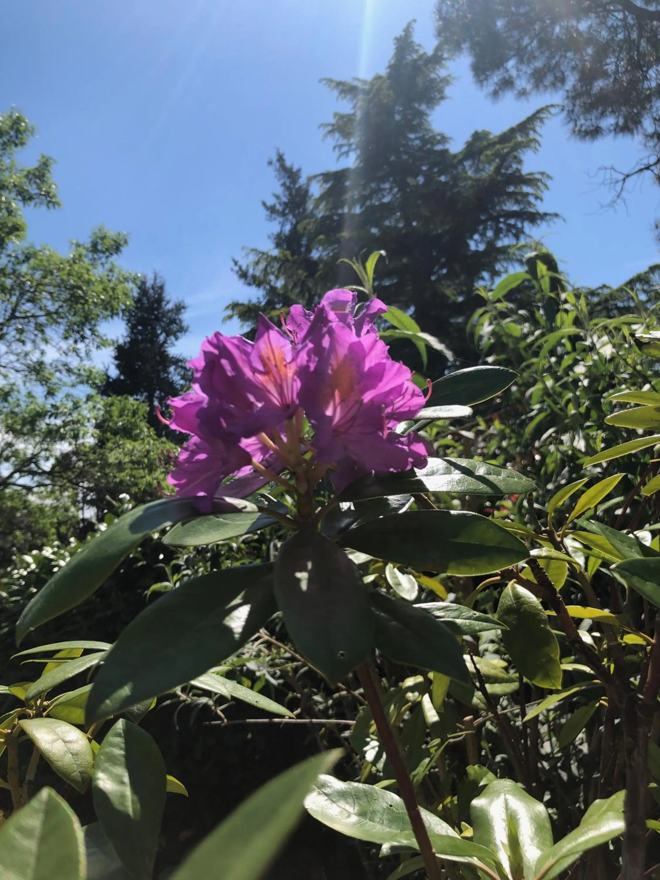 Property building in Au Bien Venu