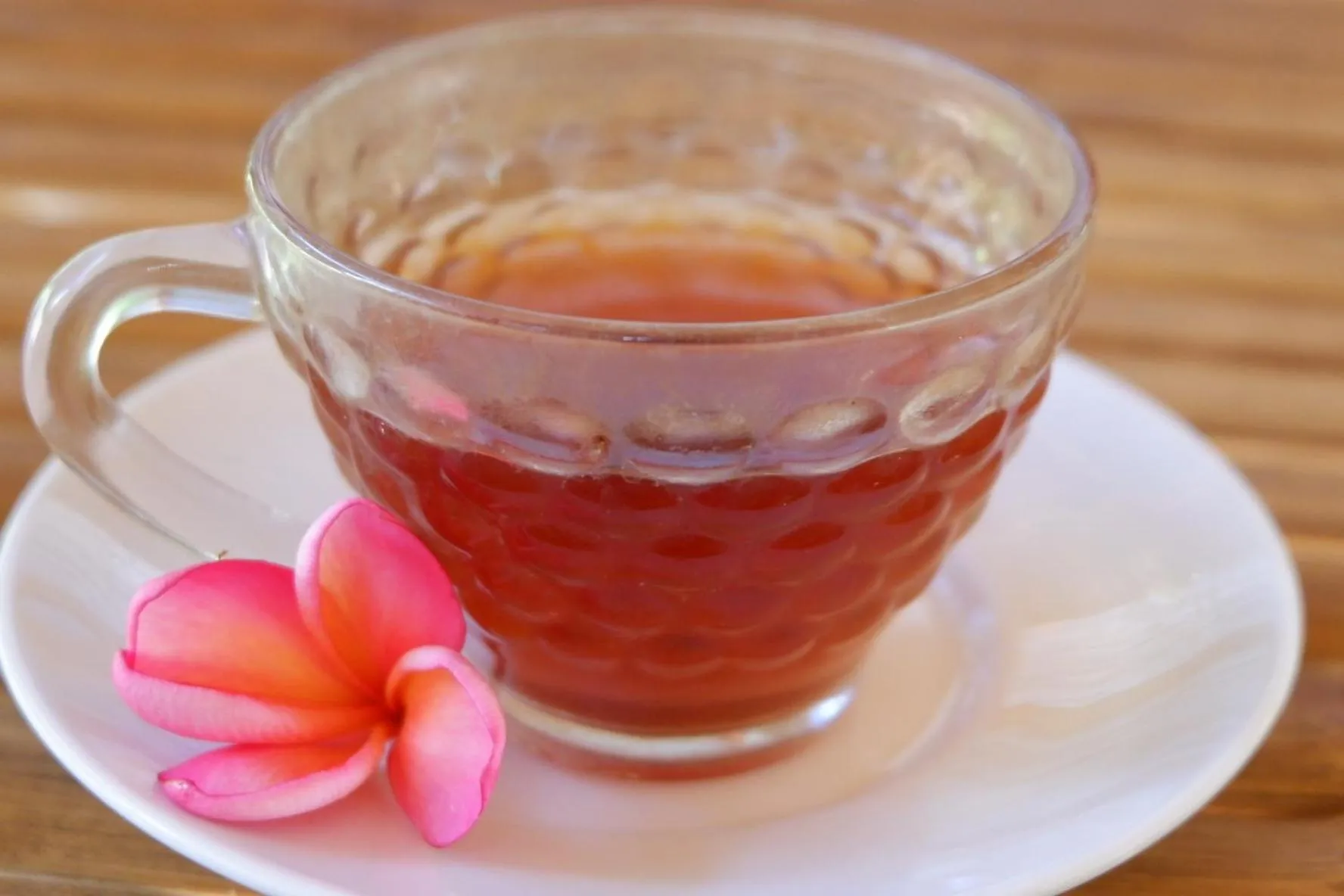 Drinks in Tropical Garden Inn