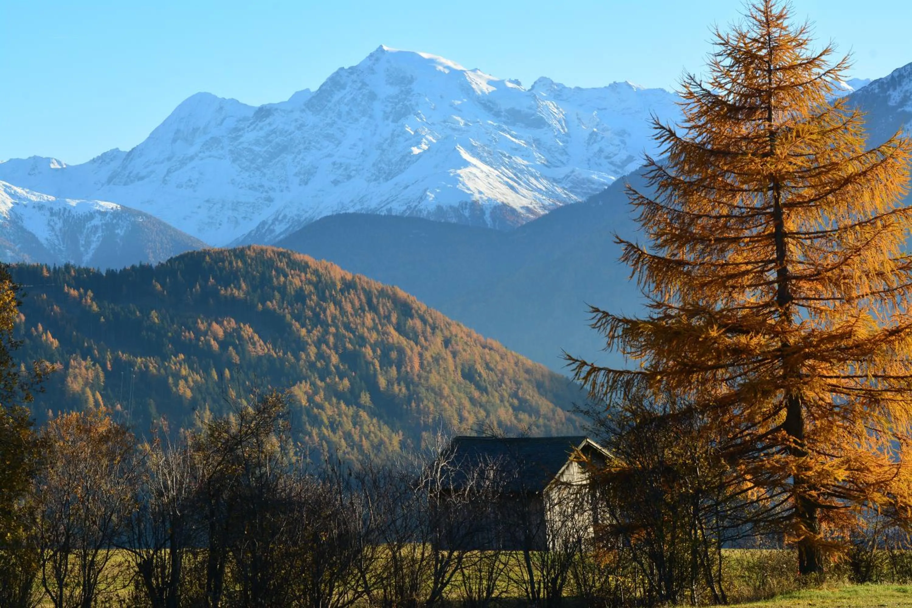 Natural landscape in Das Moriggl