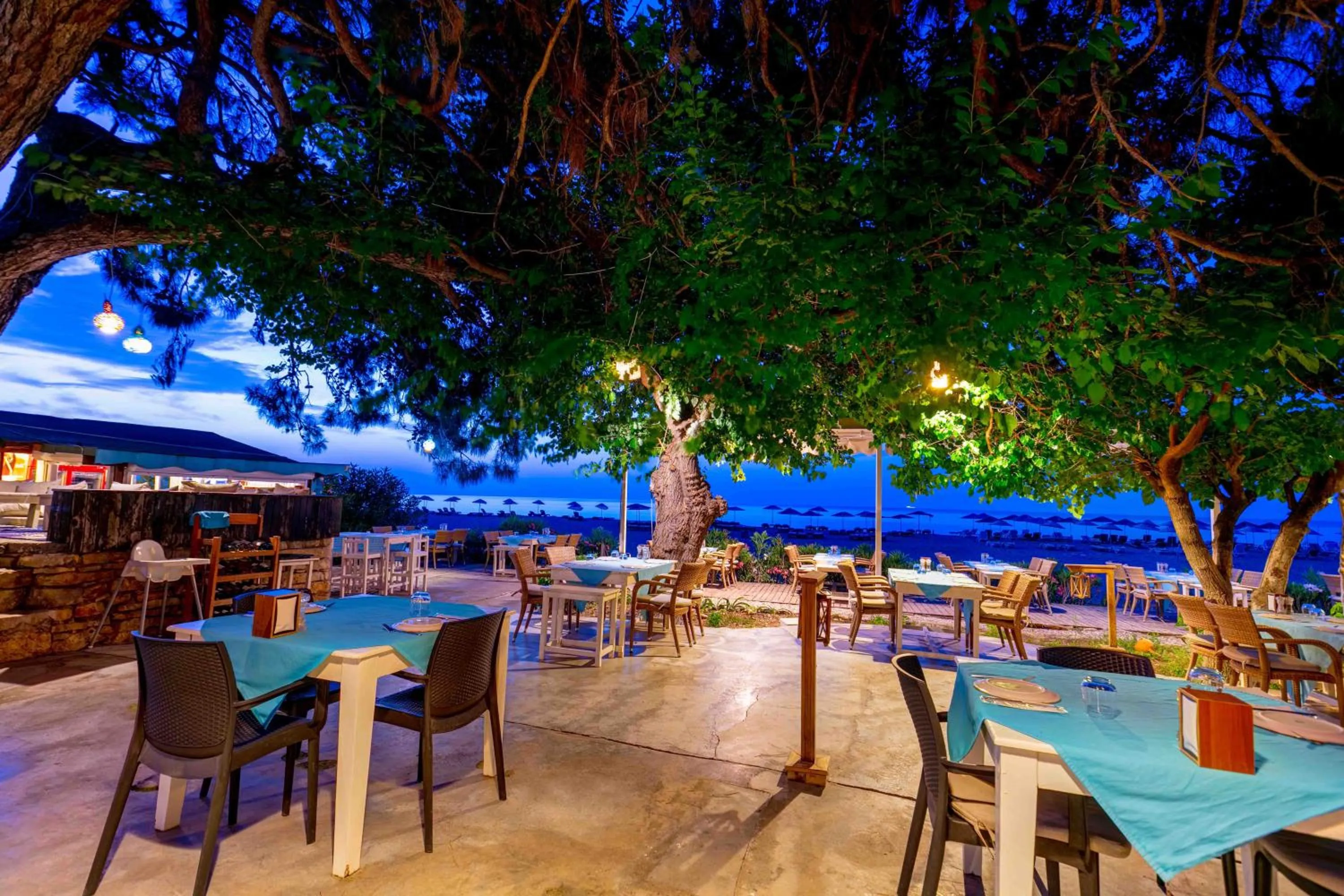 Lounge or bar in Etenna Beach Bungalows