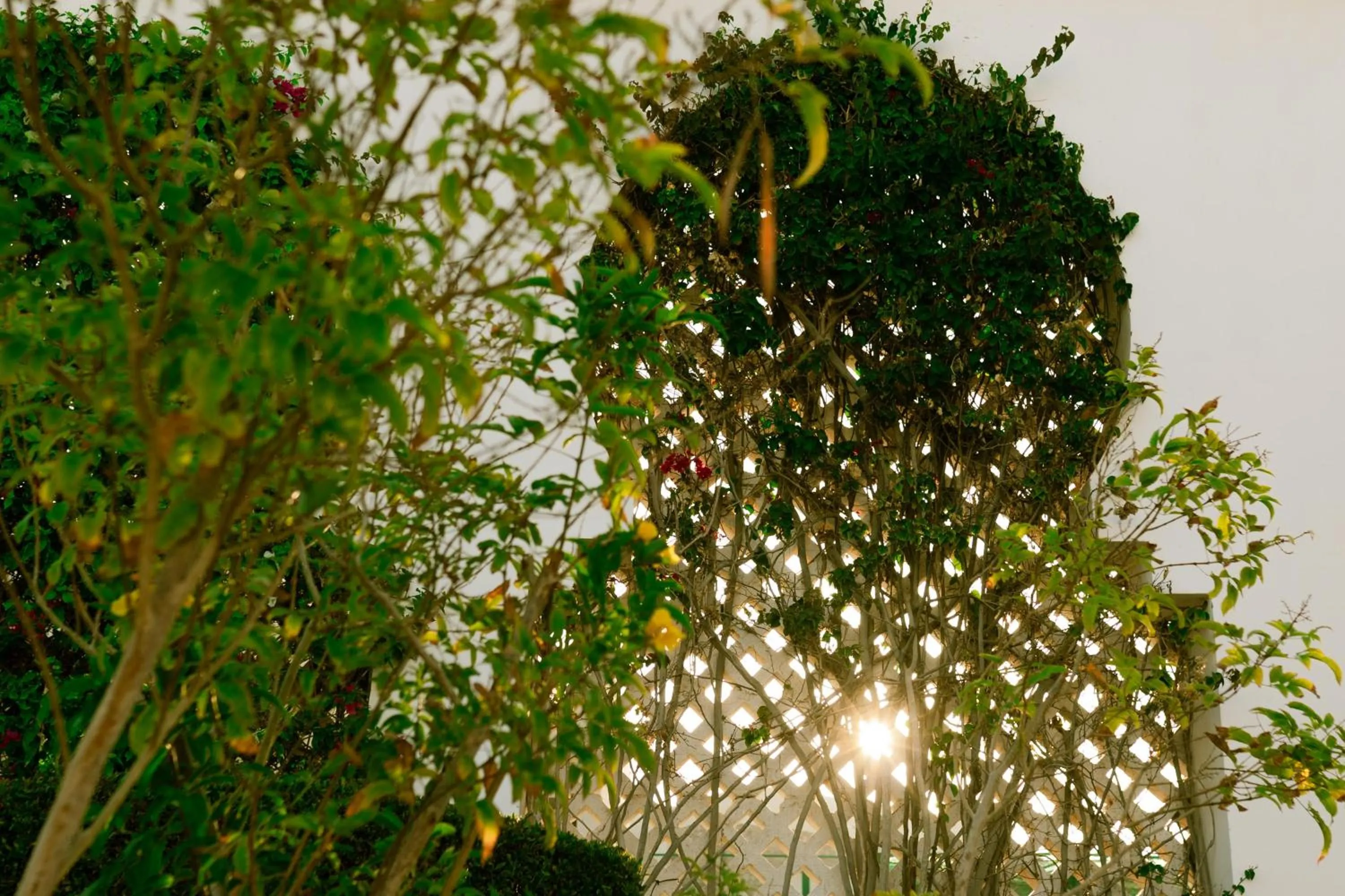 Garden in Baron Palms Adults Friendly Only 16 years plus Boutique Hotel Style