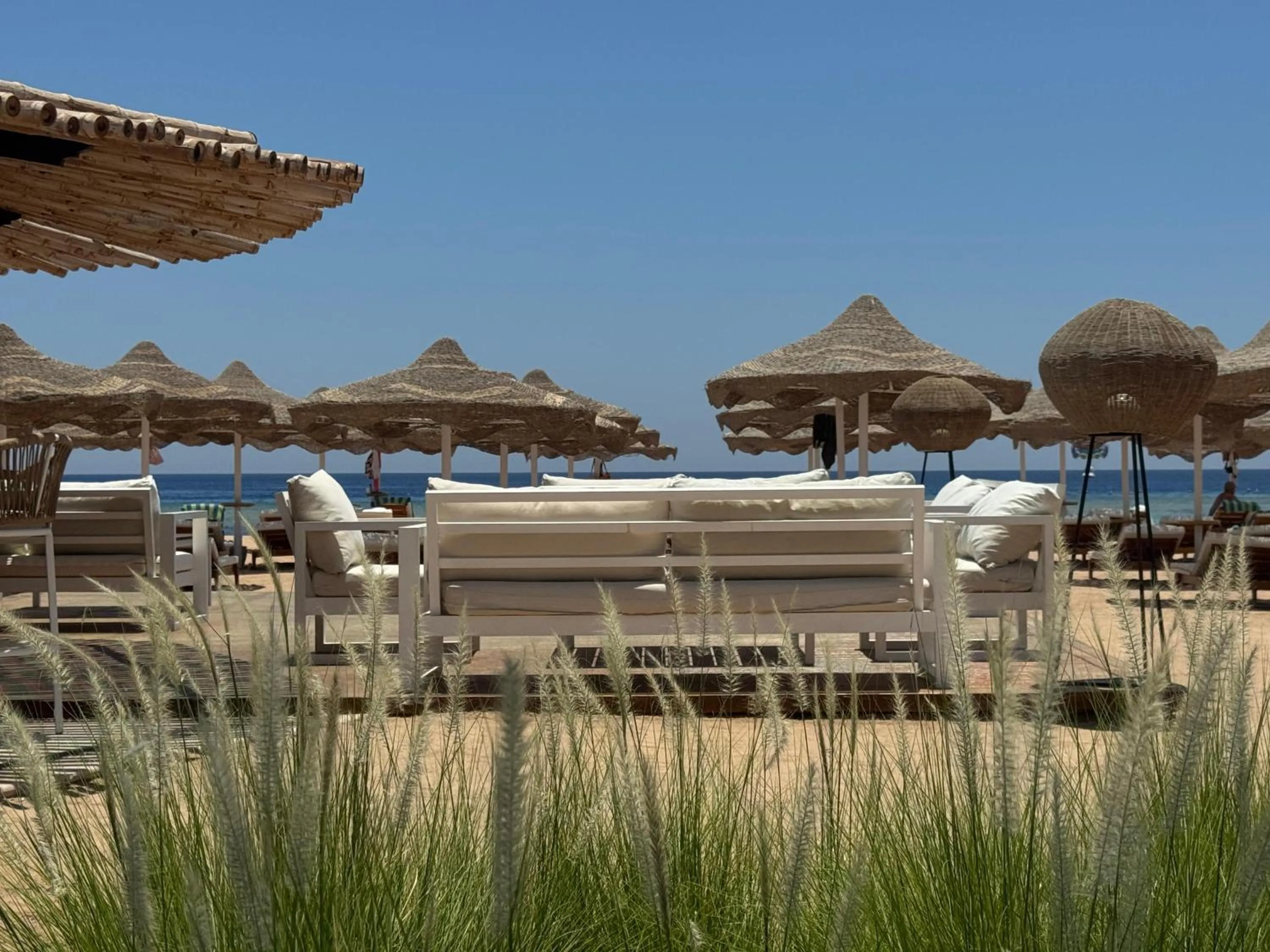 Lounge or bar in Baron Palms Adults Friendly Only 16 years plus Boutique Hotel Style