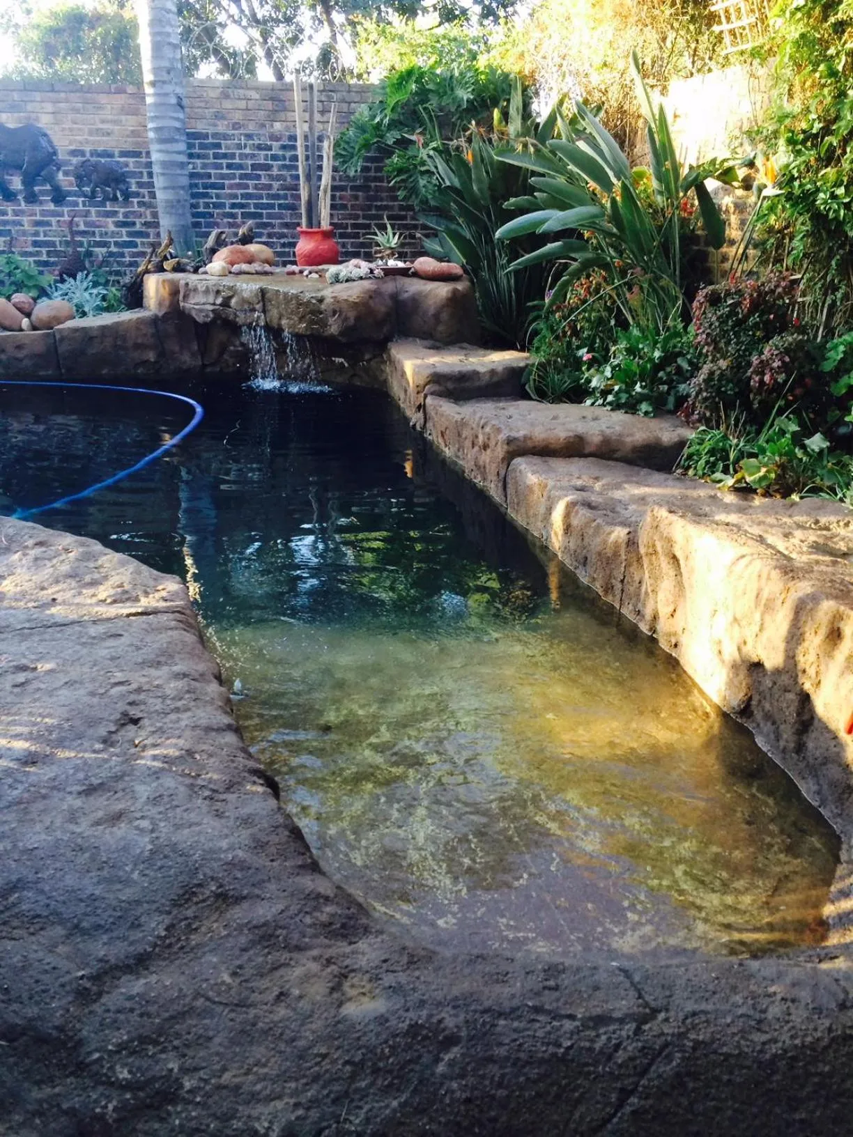 Swimming pool in Sunninghill Sojourn