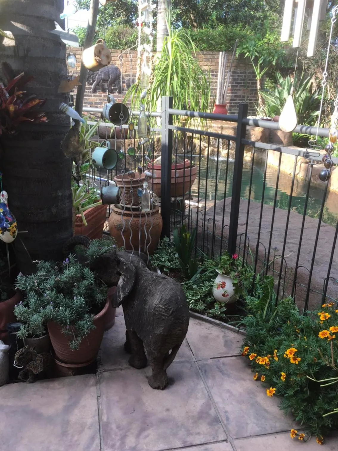 Garden view in Sunninghill Sojourn