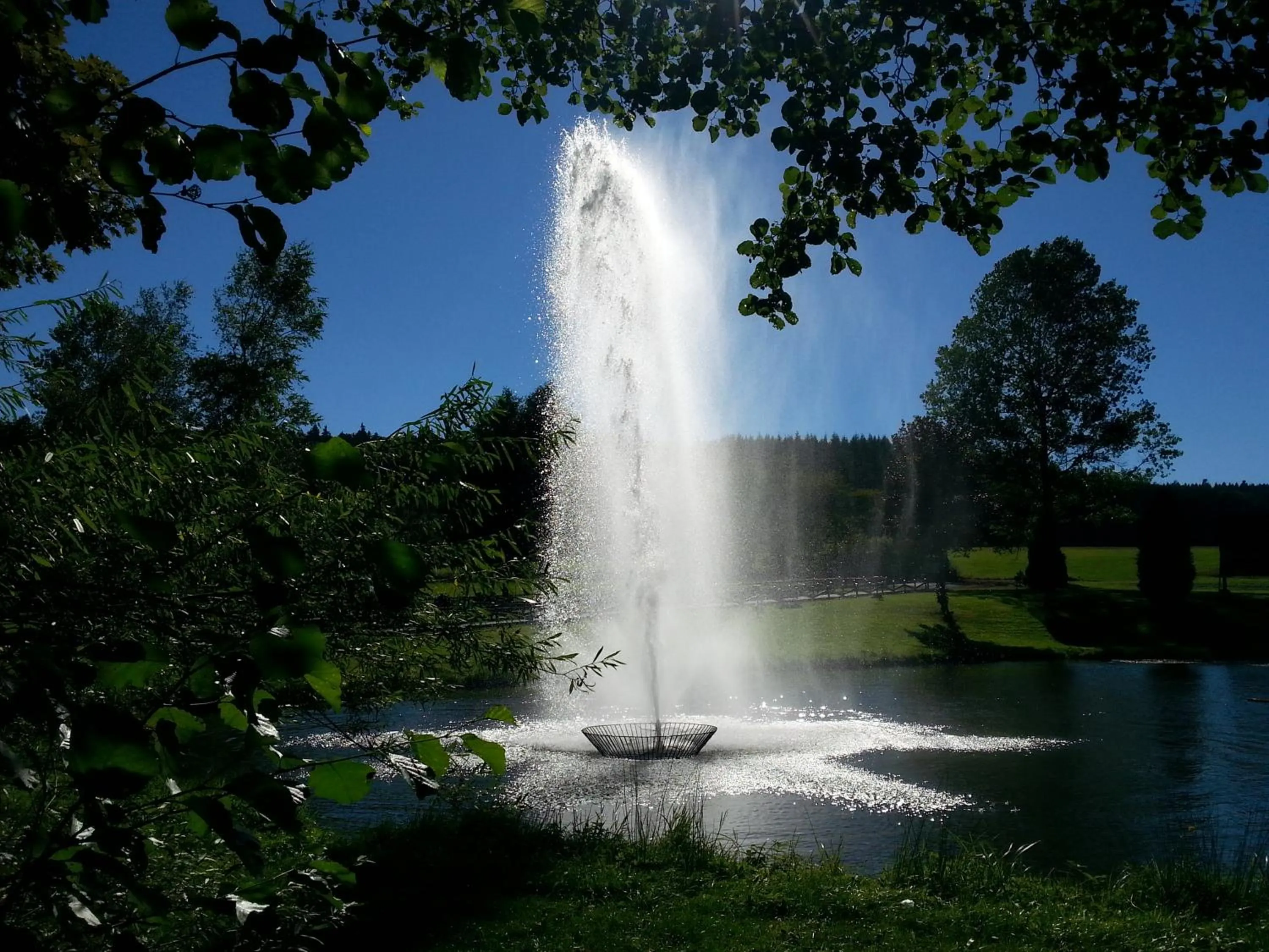Garden in Hotel Pappelhof