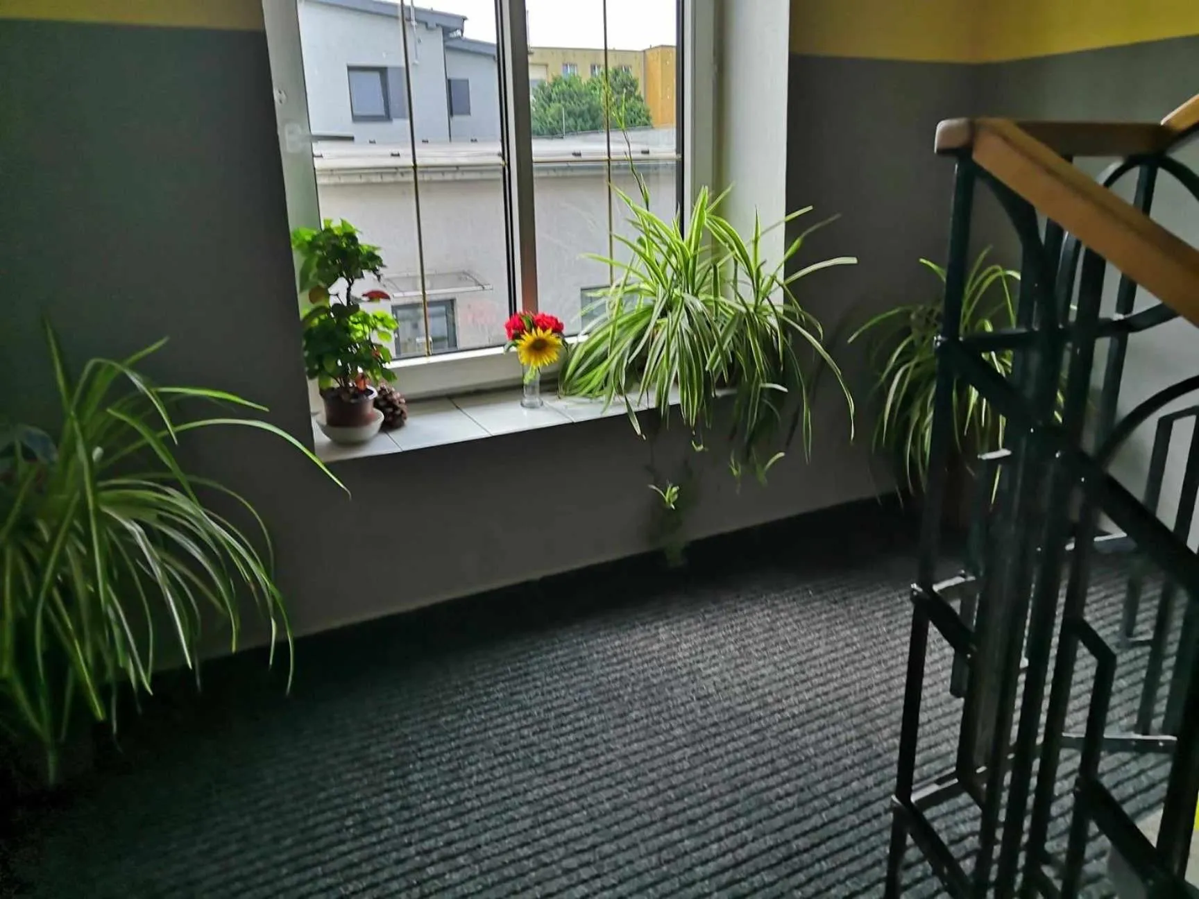 Property building in ZLATÁ-ÉRA