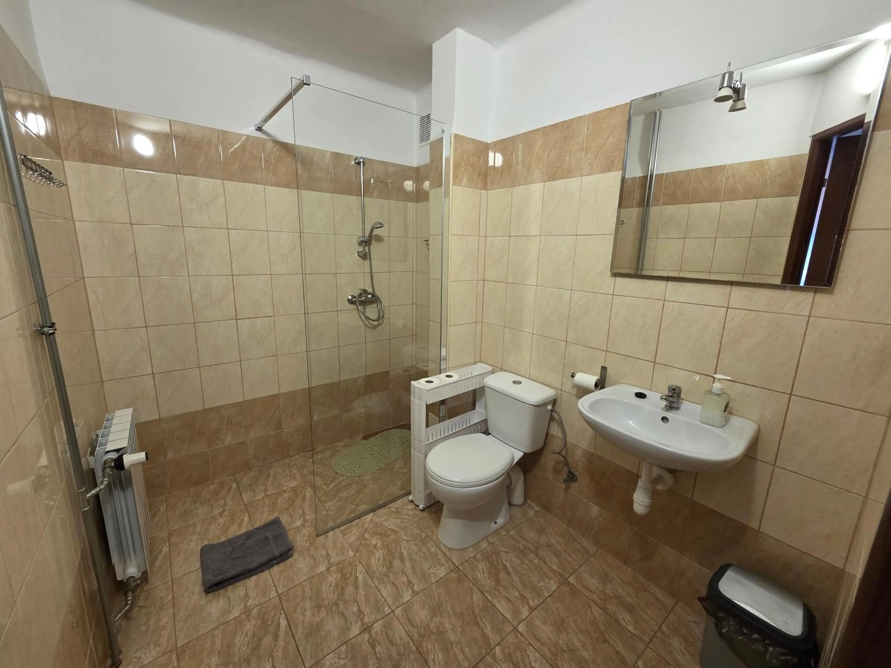 Bathroom in Dom Turysty SALUS