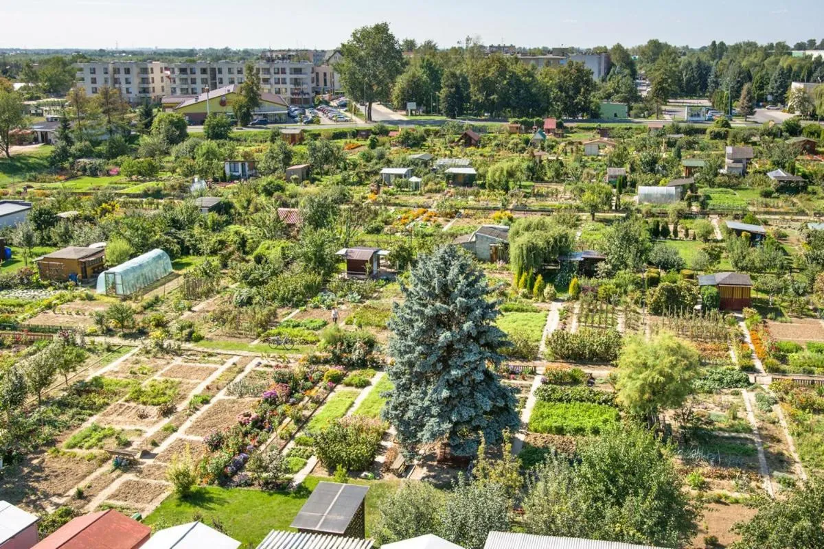Neighbourhood in Dom Turysty SALUS
