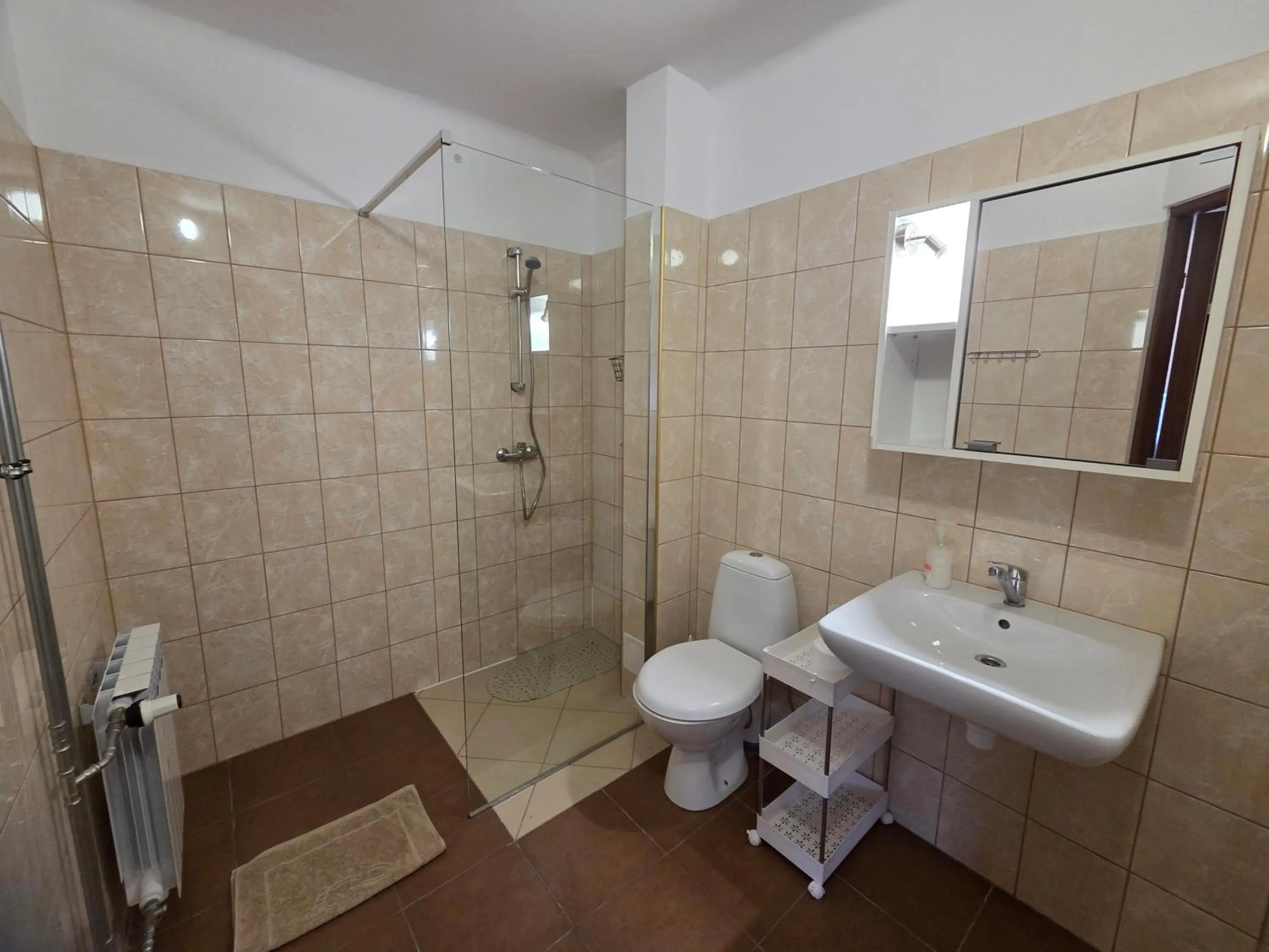 Bathroom in Dom Turysty SALUS