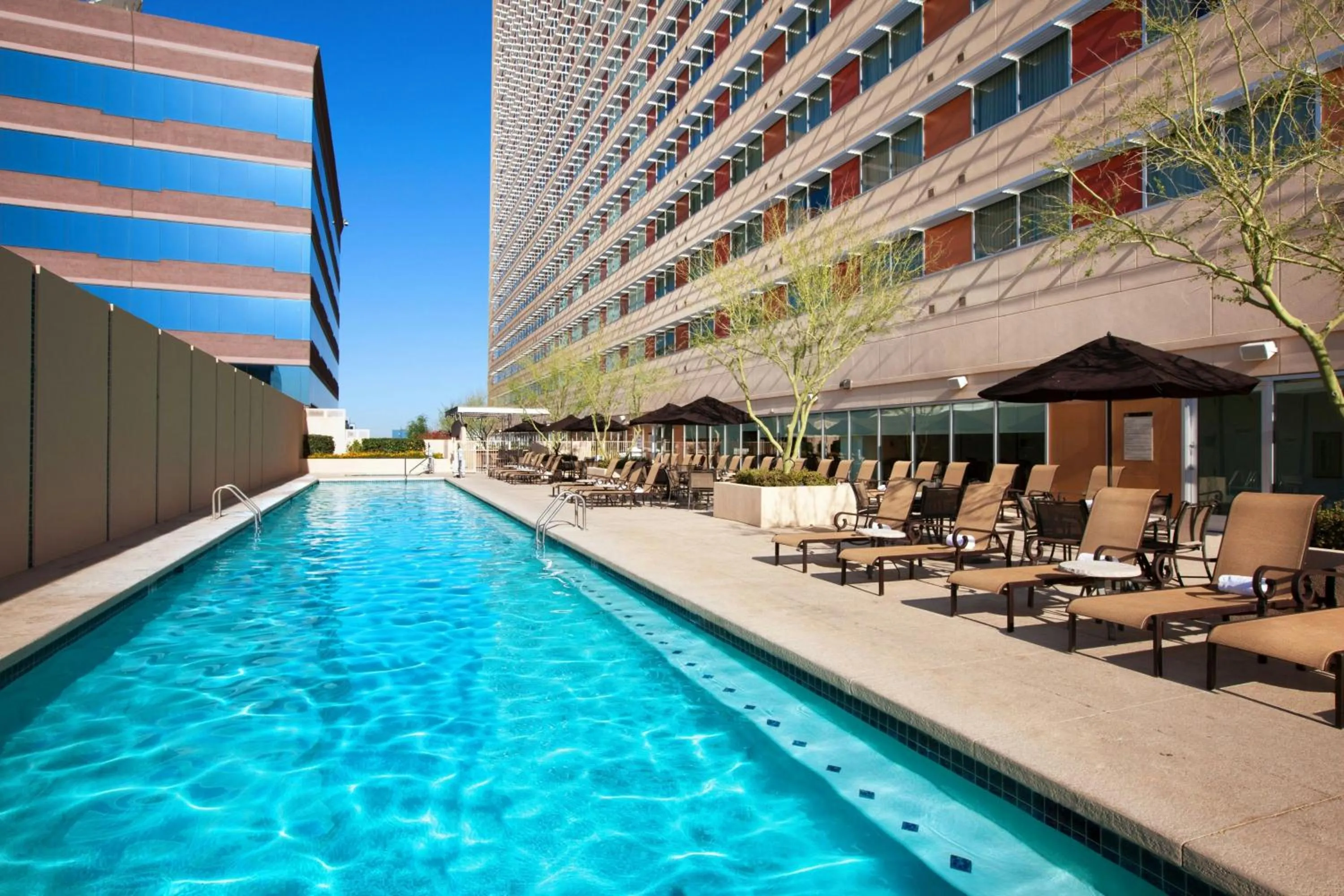 Swimming pool in Sheraton Phoenix Downtown