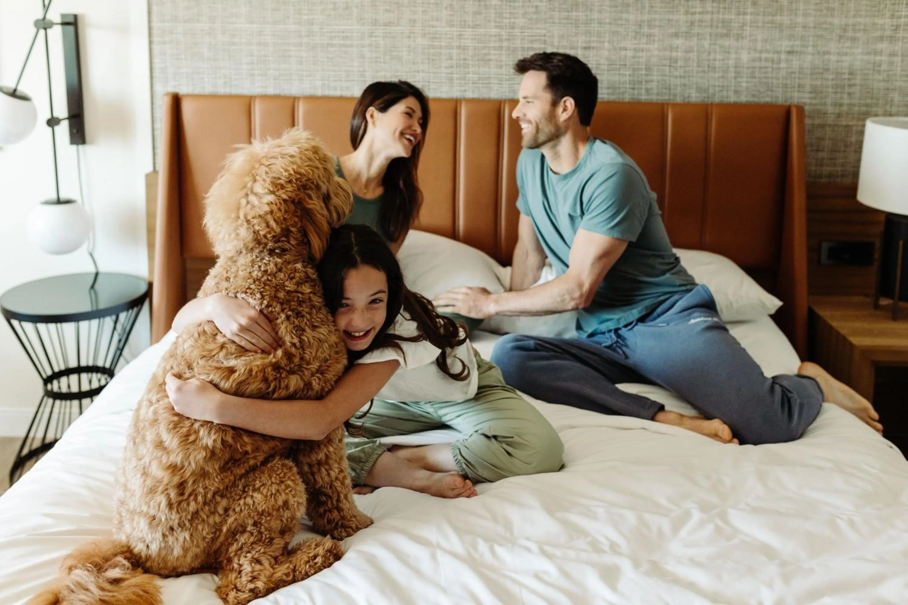 Photo of the whole room, Bed in Sheraton Phoenix Downtown