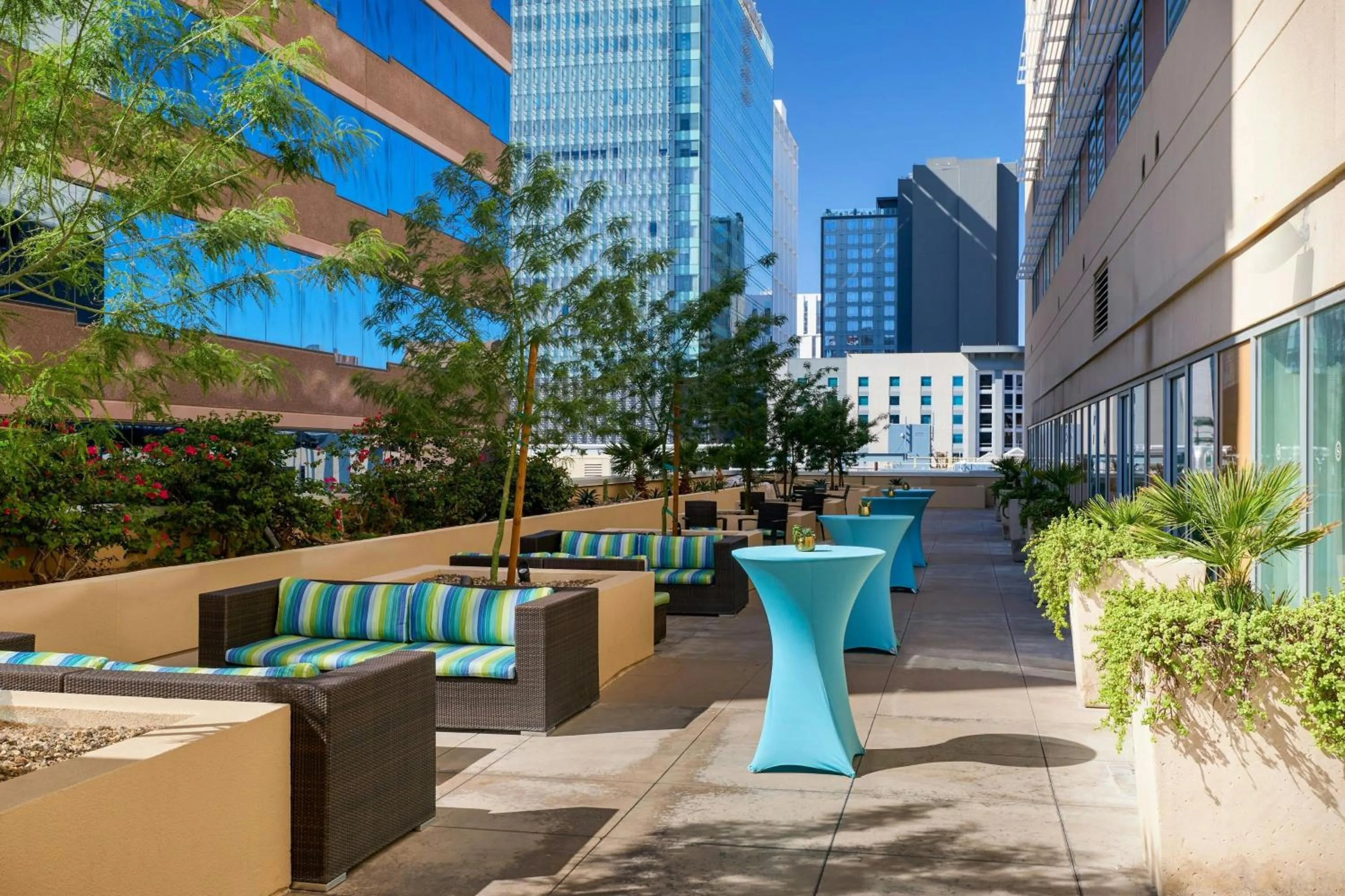 Restaurant/places to eat in Sheraton Phoenix Downtown