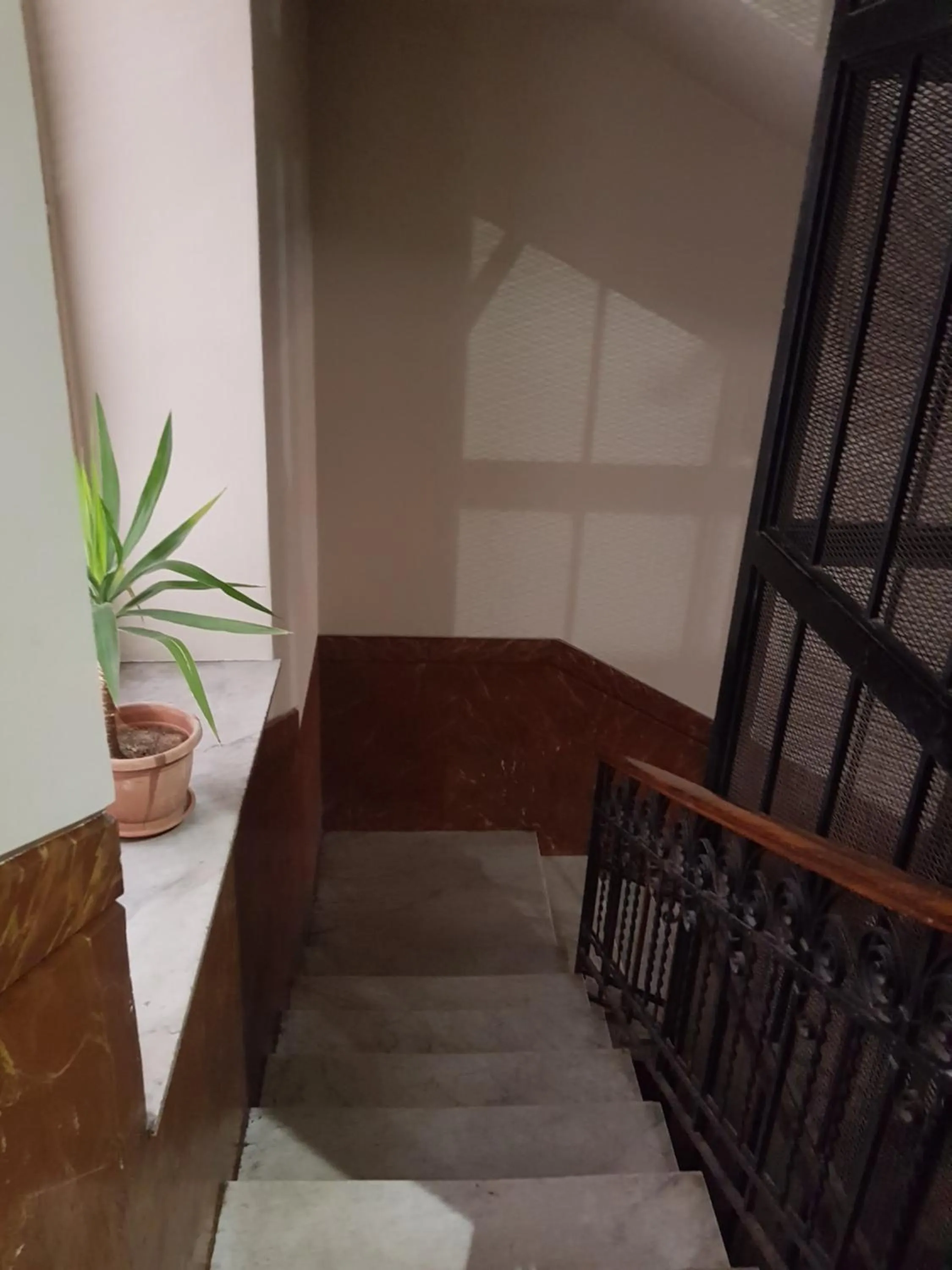 Decorative detail in Aziz b&b