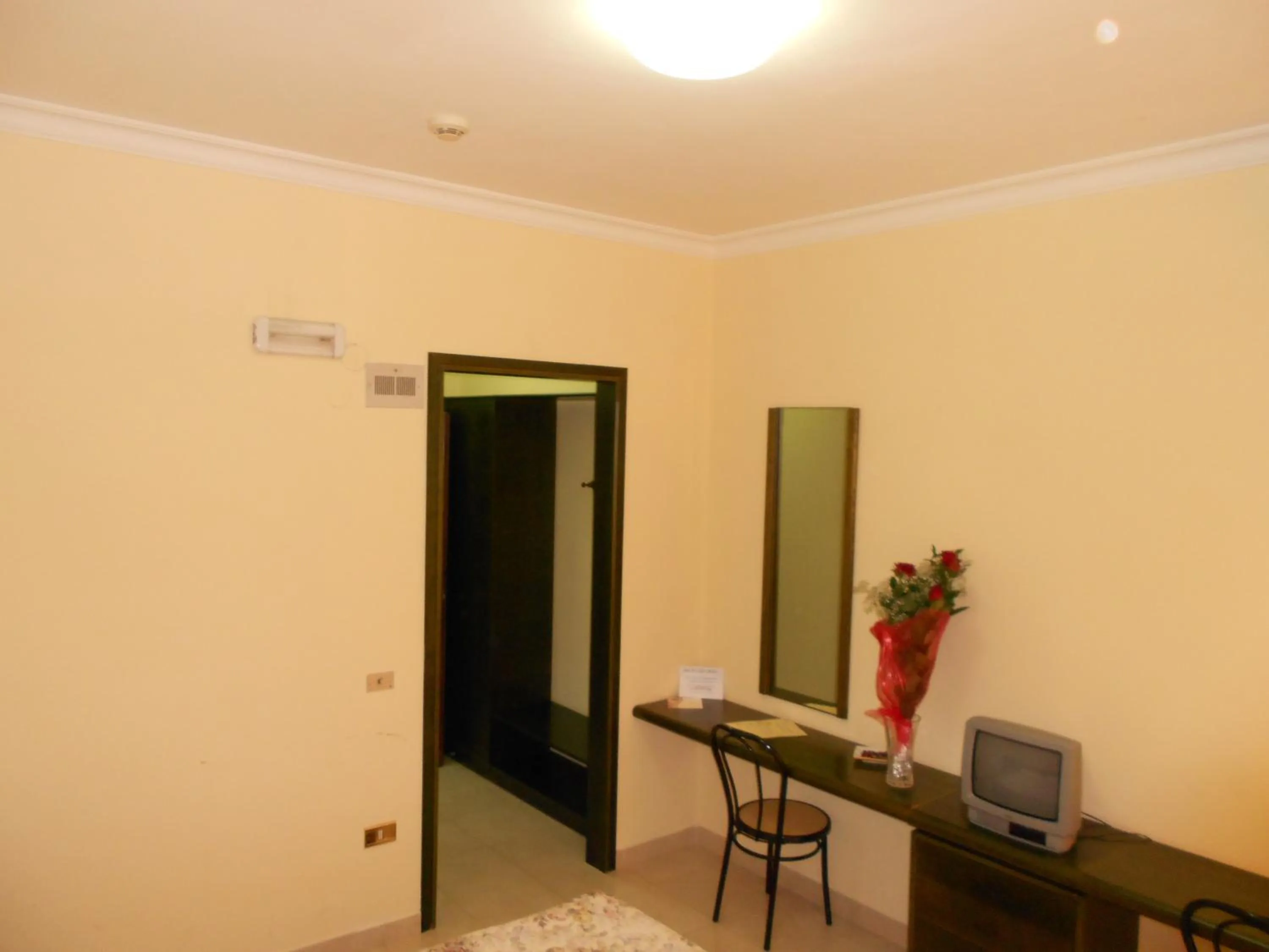 TV and multimedia in Hotel Le Dune