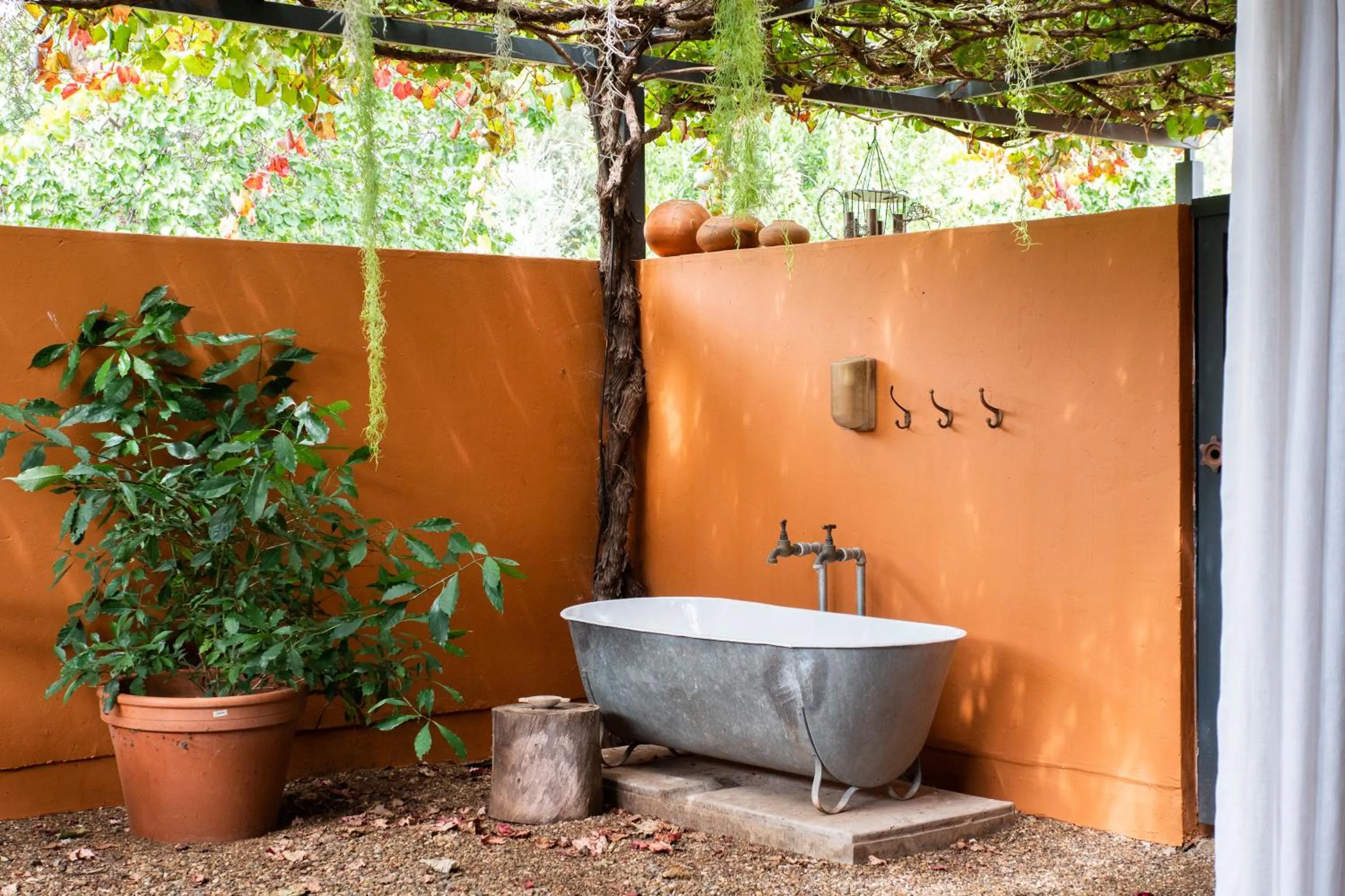 Liedjiesbos Urban Olive Farm