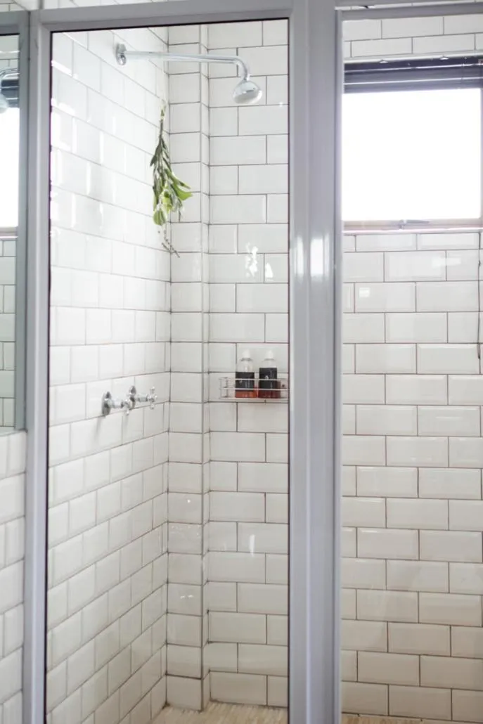 Liedjiesbos Urban Olive Farm