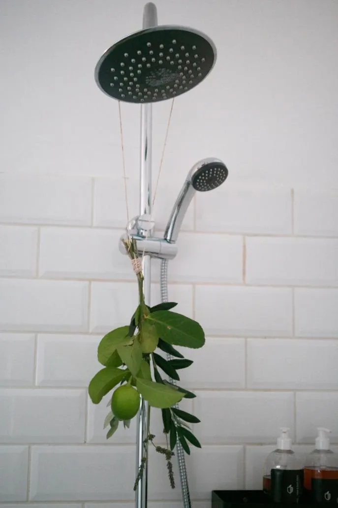 Liedjiesbos Urban Olive Farm