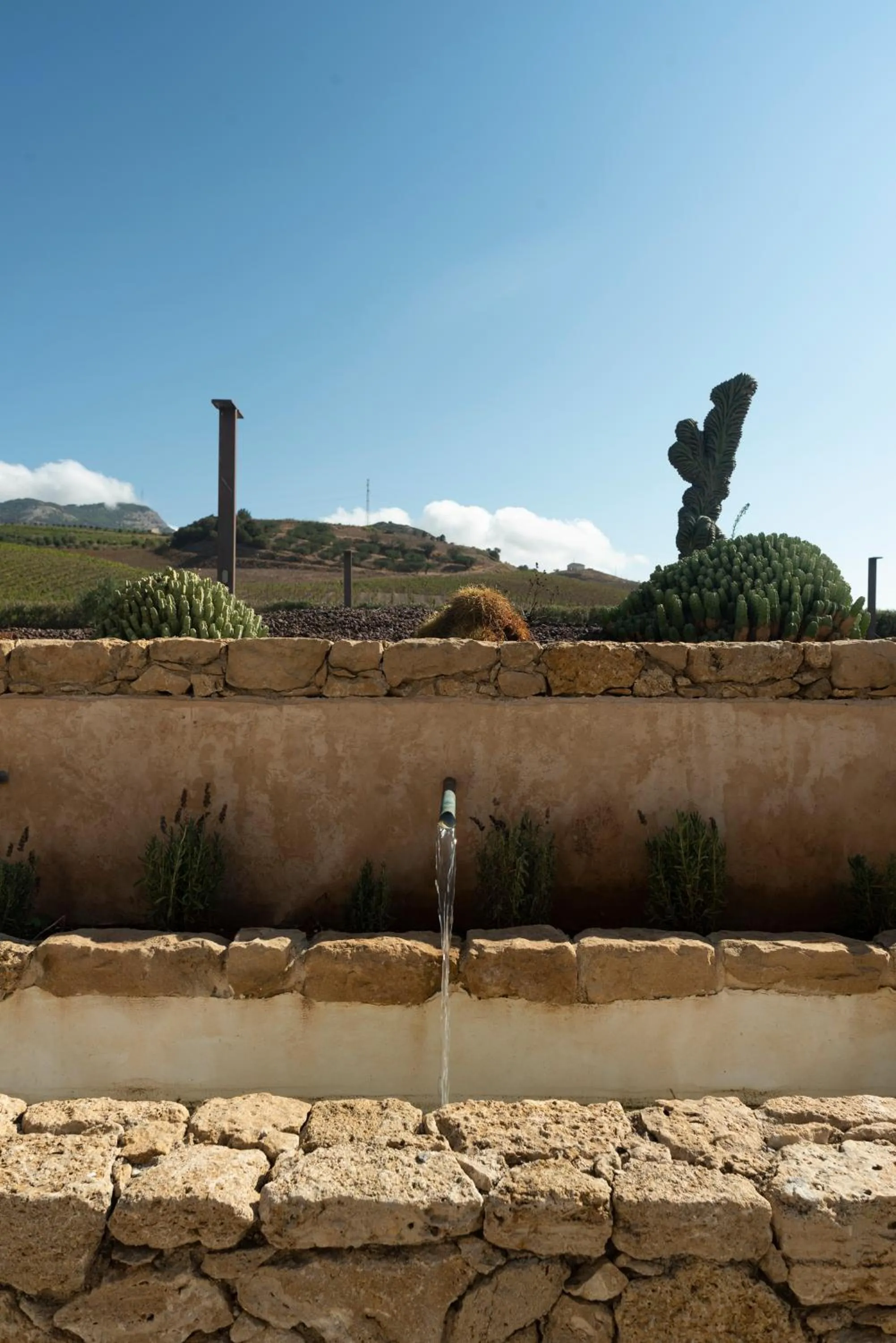 Tenute Baglio Passofondo