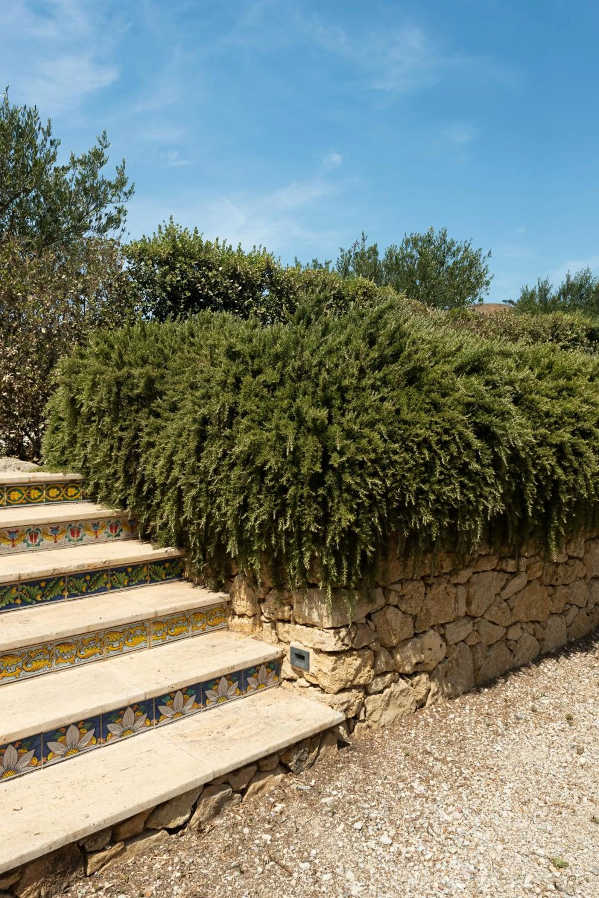 Tenute Baglio Passofondo