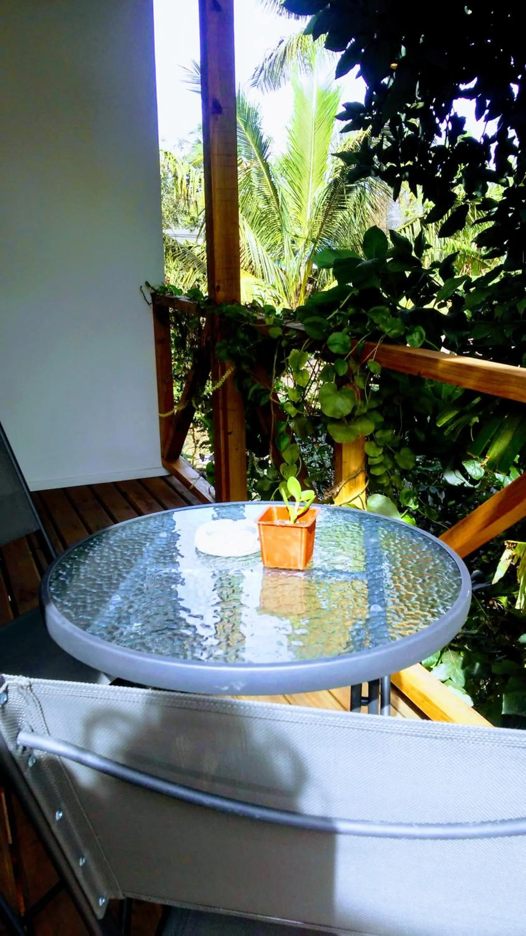 Balcony/Terrace in Cabañas Te Maori