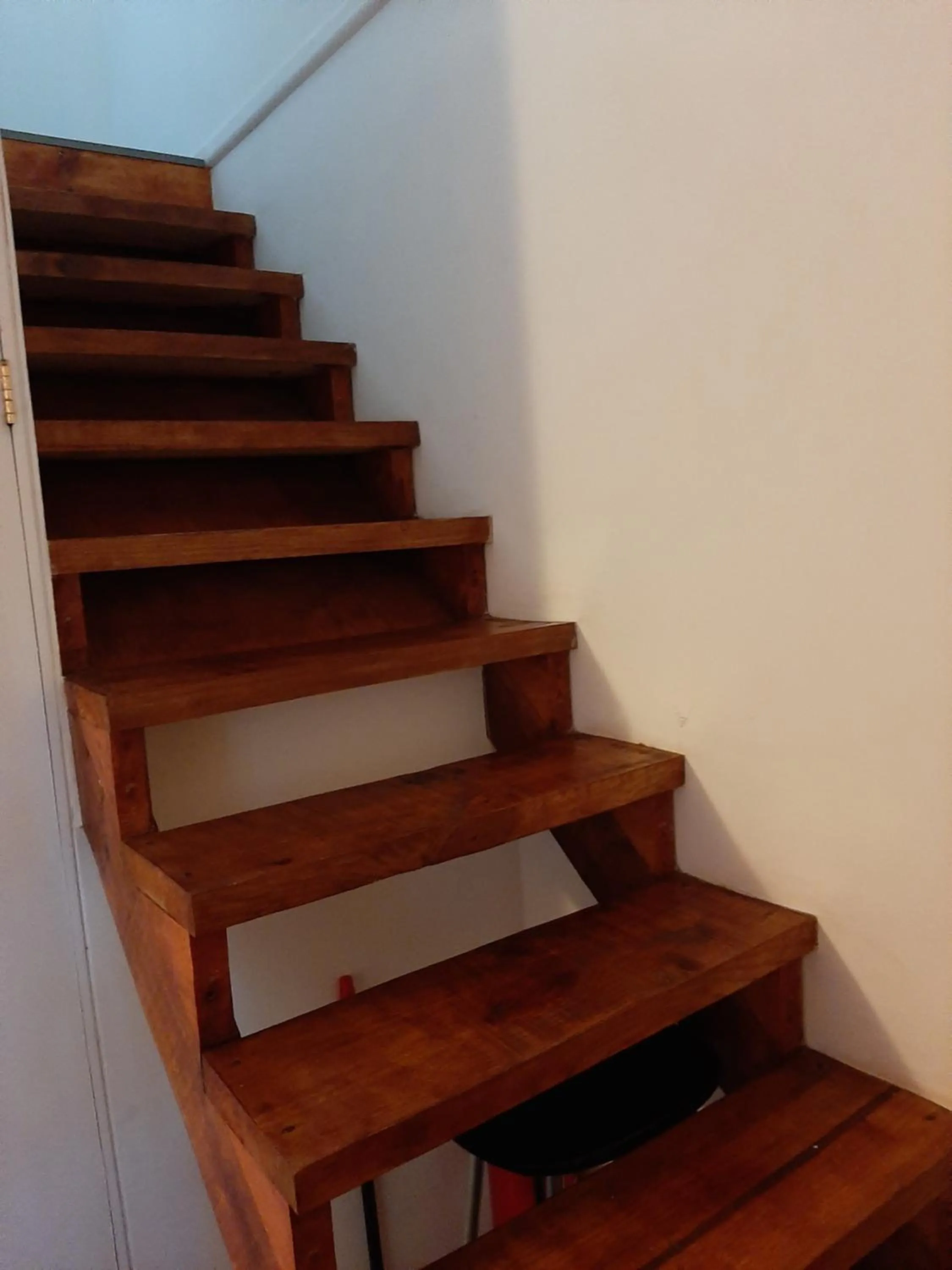 Area and facilities in Cabañas Te Maori