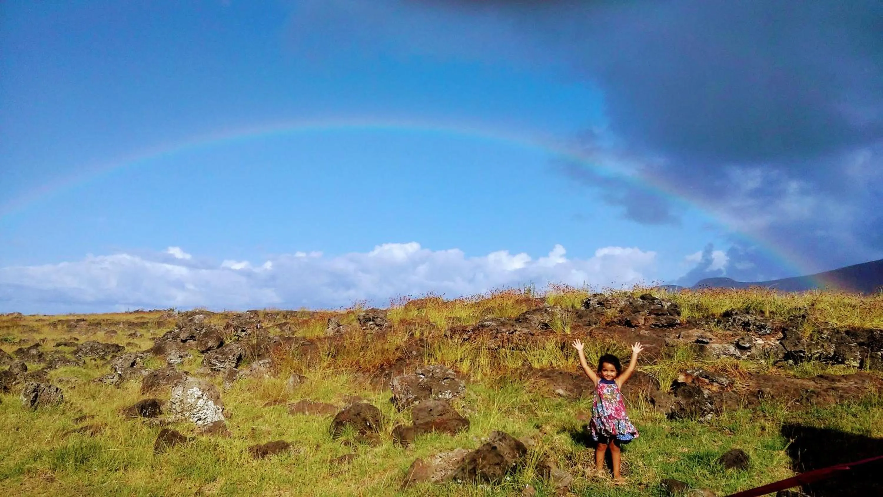 Natural landscape in Cabañas Te Maori