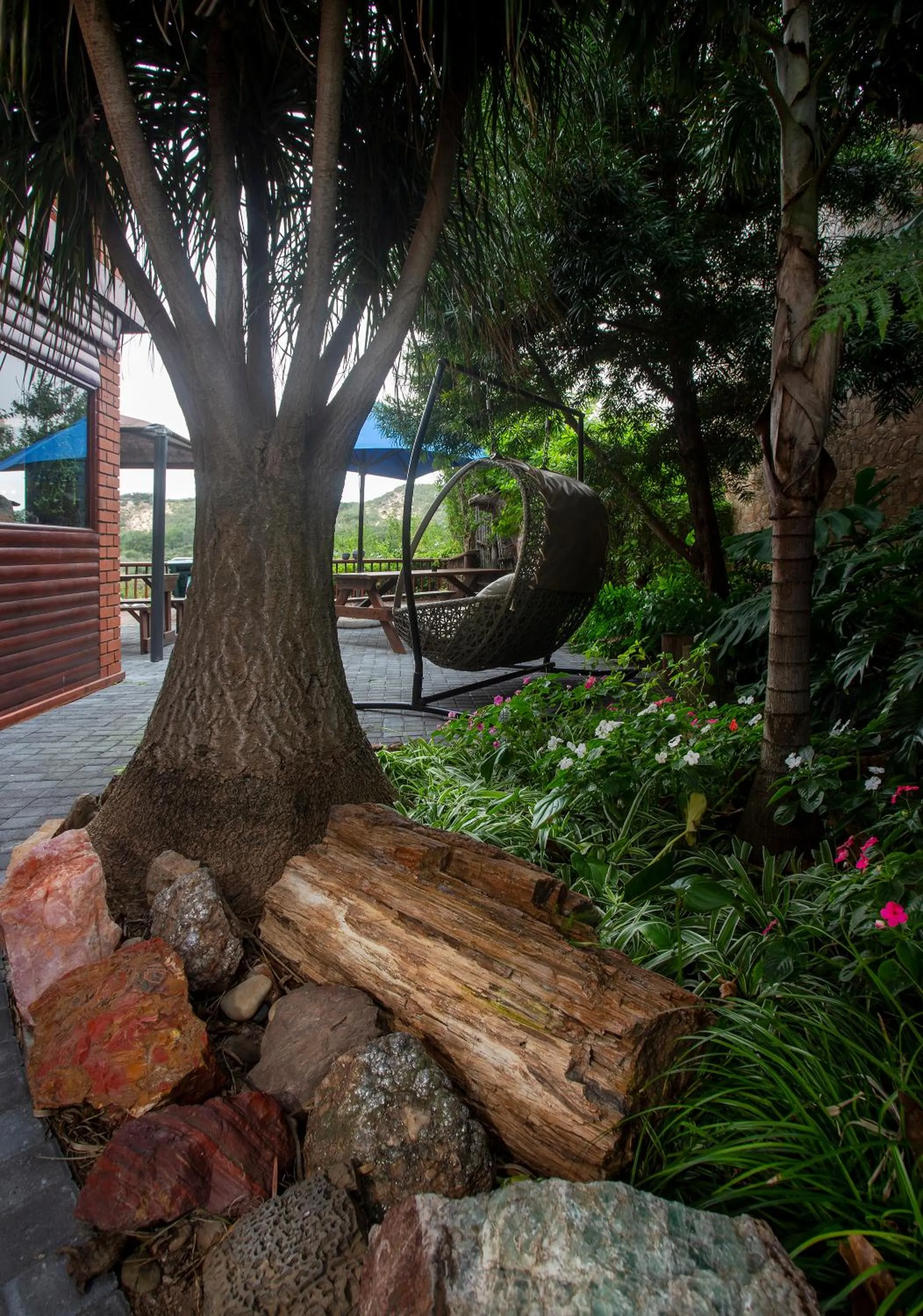 Natural landscape in Dungbeetle River Lodge