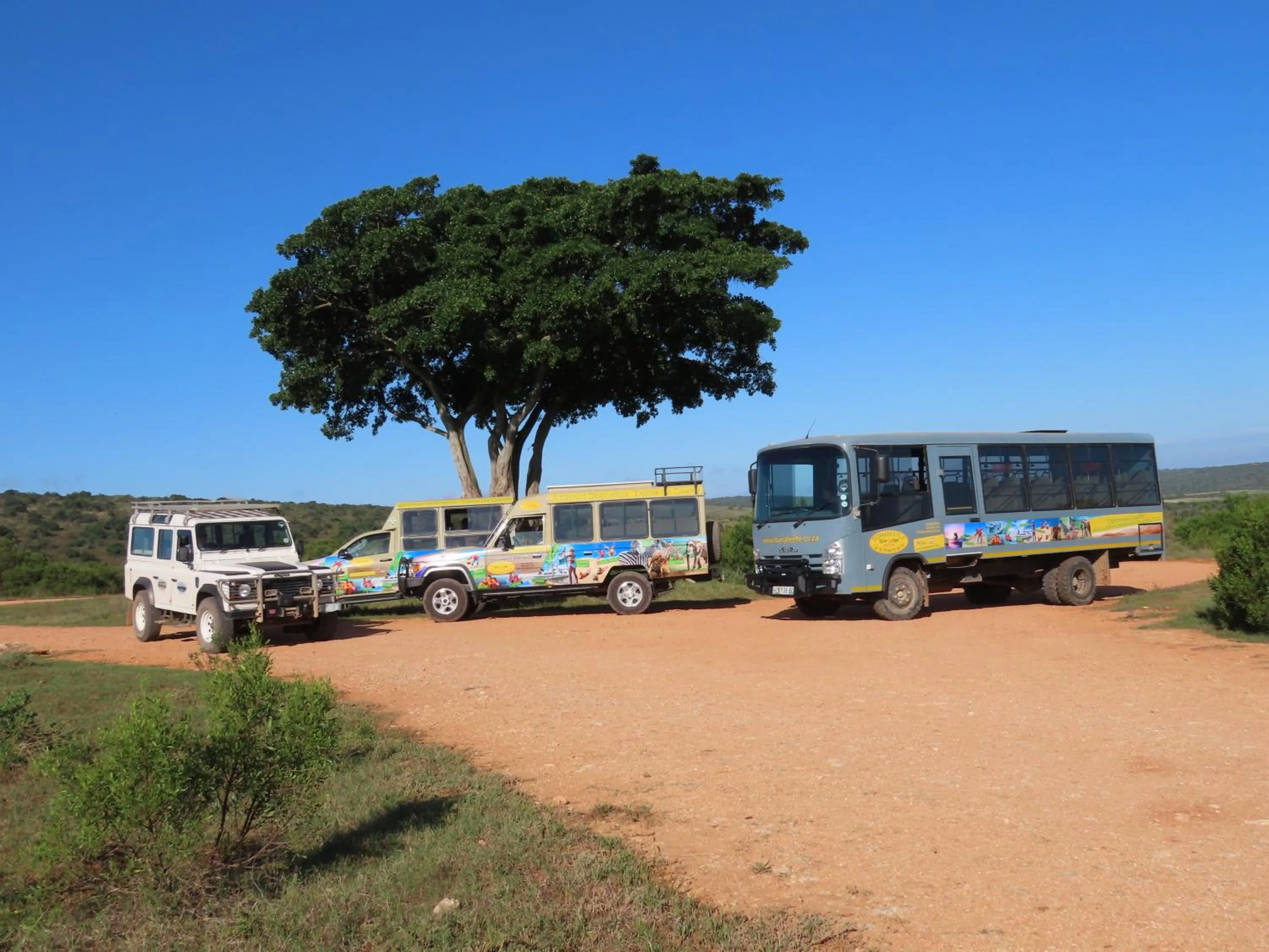 Dungbeetle River Lodge