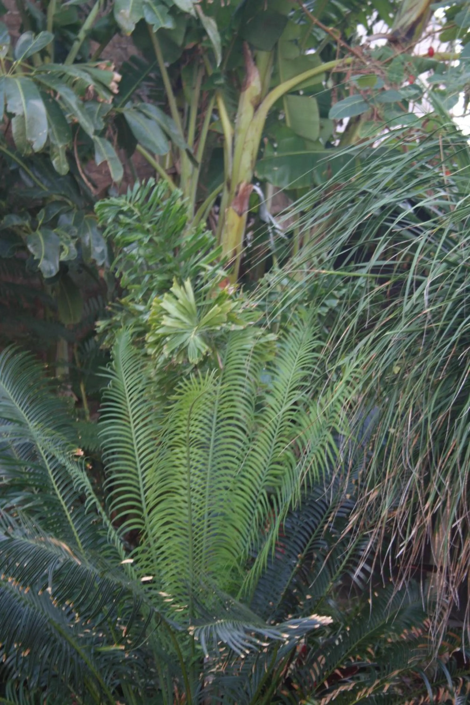 Natural landscape in Dungbeetle River Lodge