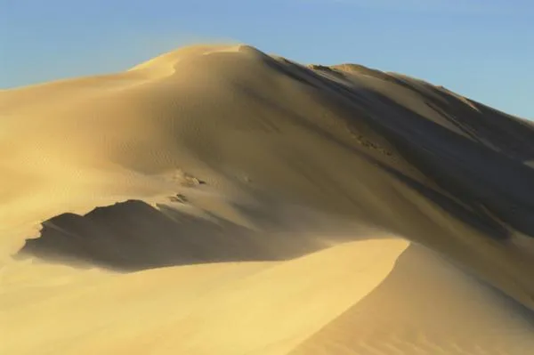 Dungbeetle River Lodge