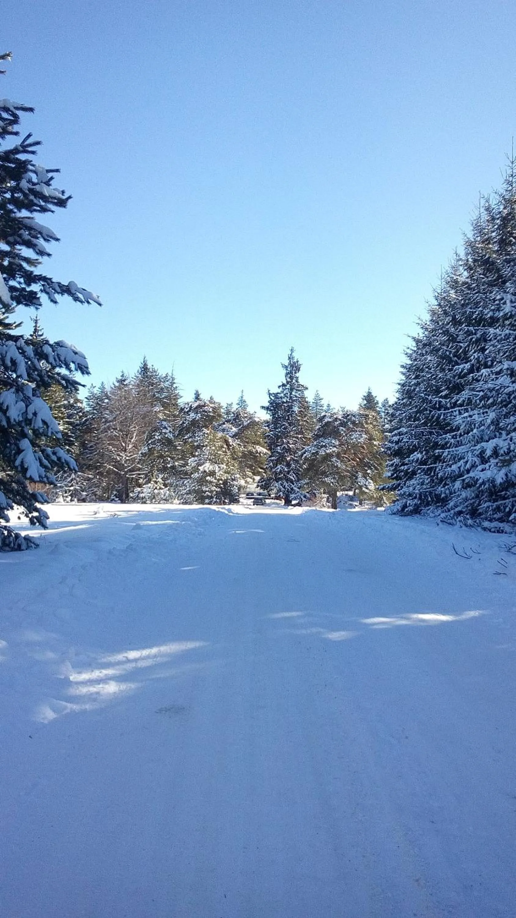 Natural landscape in Euphoria Club Hotel