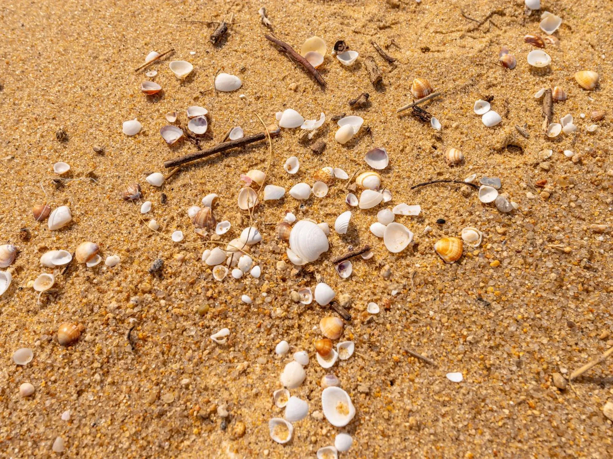Beach in Pousada Pé Na Areia