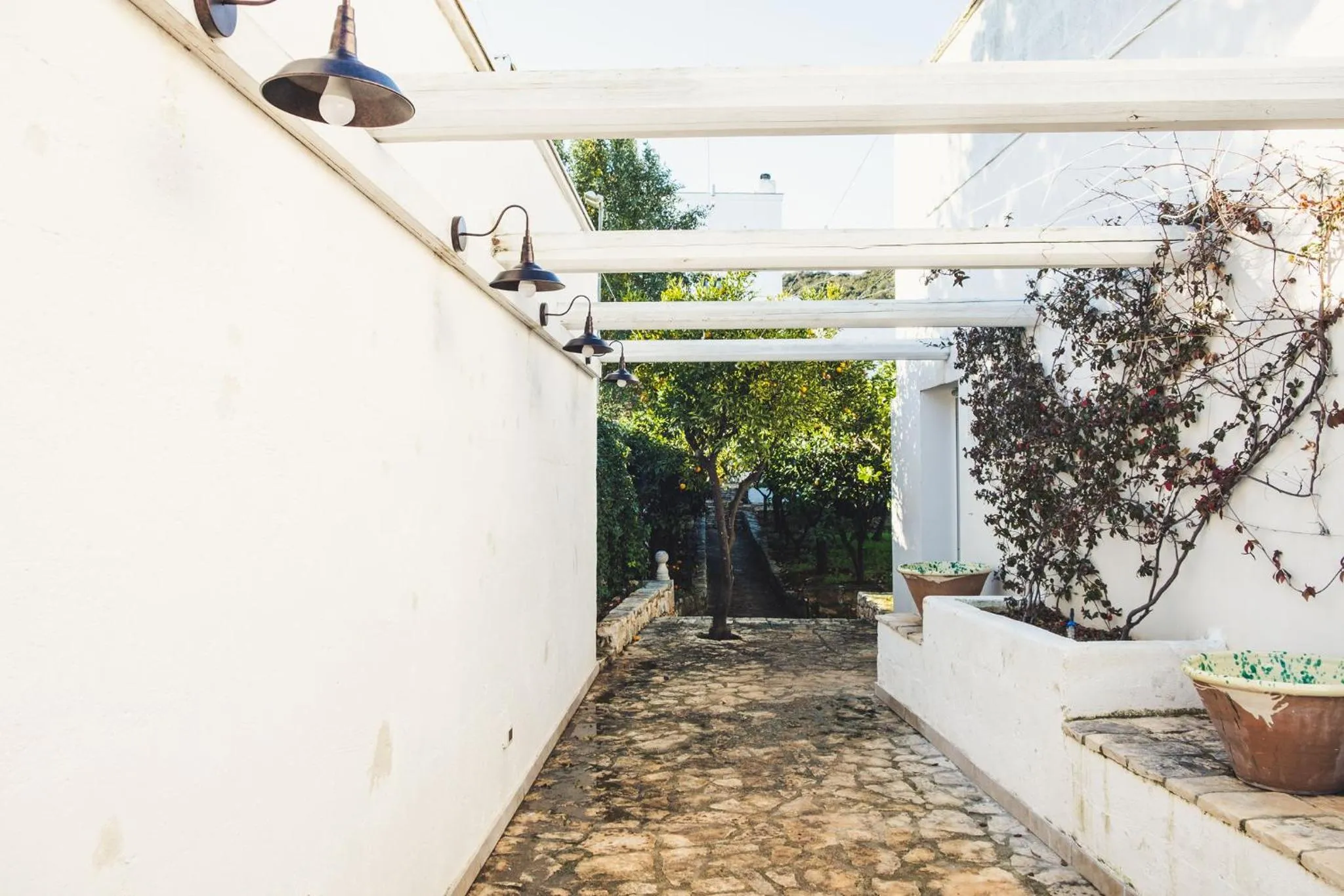 Property building in Masseria Santa Teresa